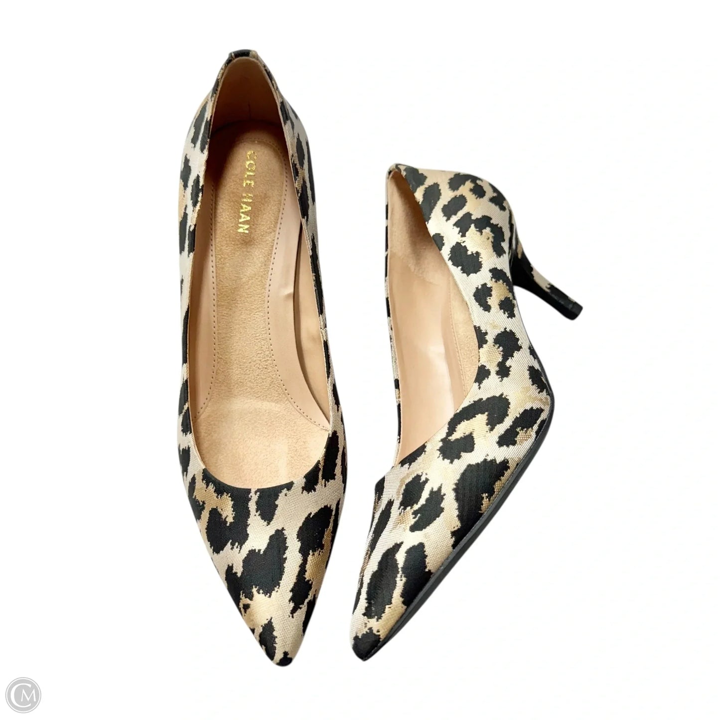 Shoes Heels Kitten By Cole-haan In Leopard Print, Size: 7