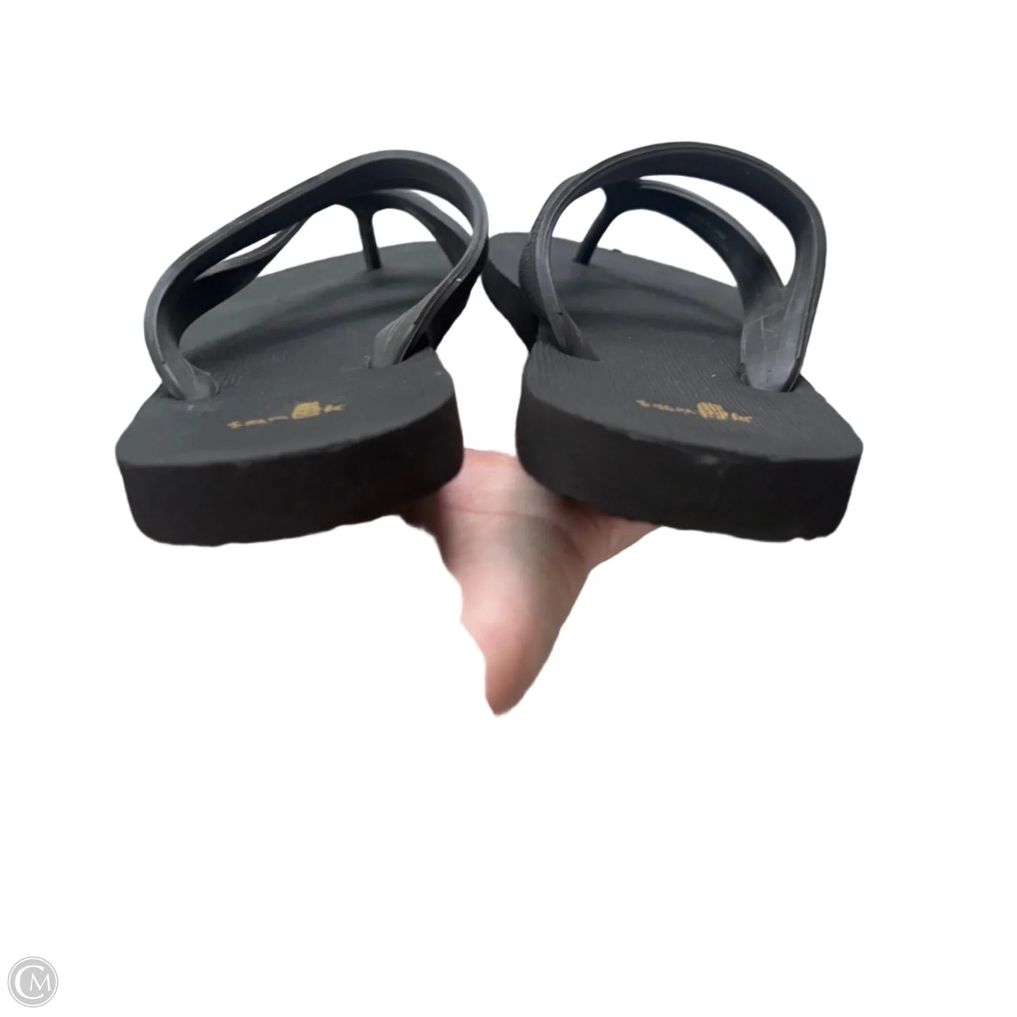 Sandals Flip Flops By Sanuk In Brown, Size: 8