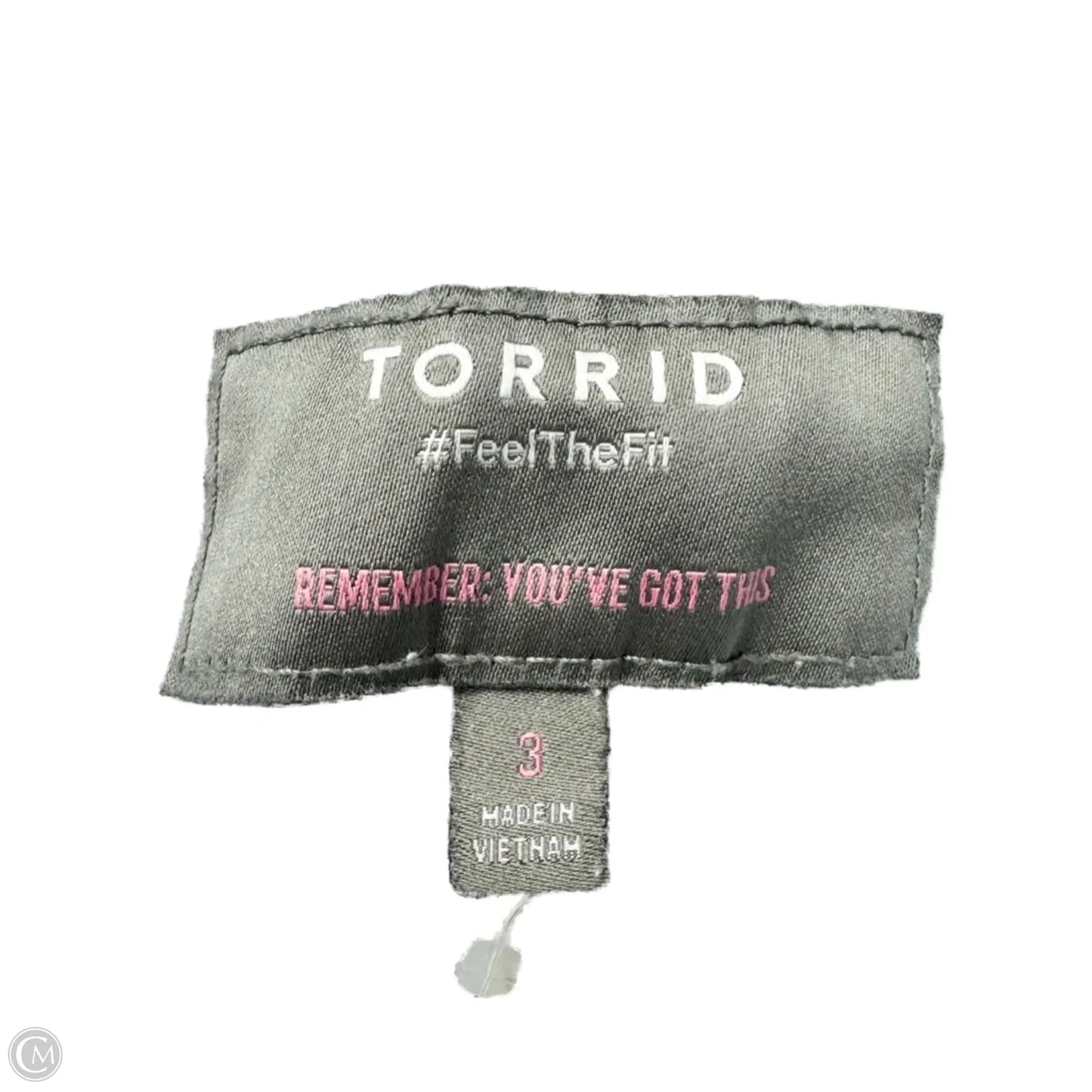 Jacket Denim By Torrid In Blue Denim, Size: 3x