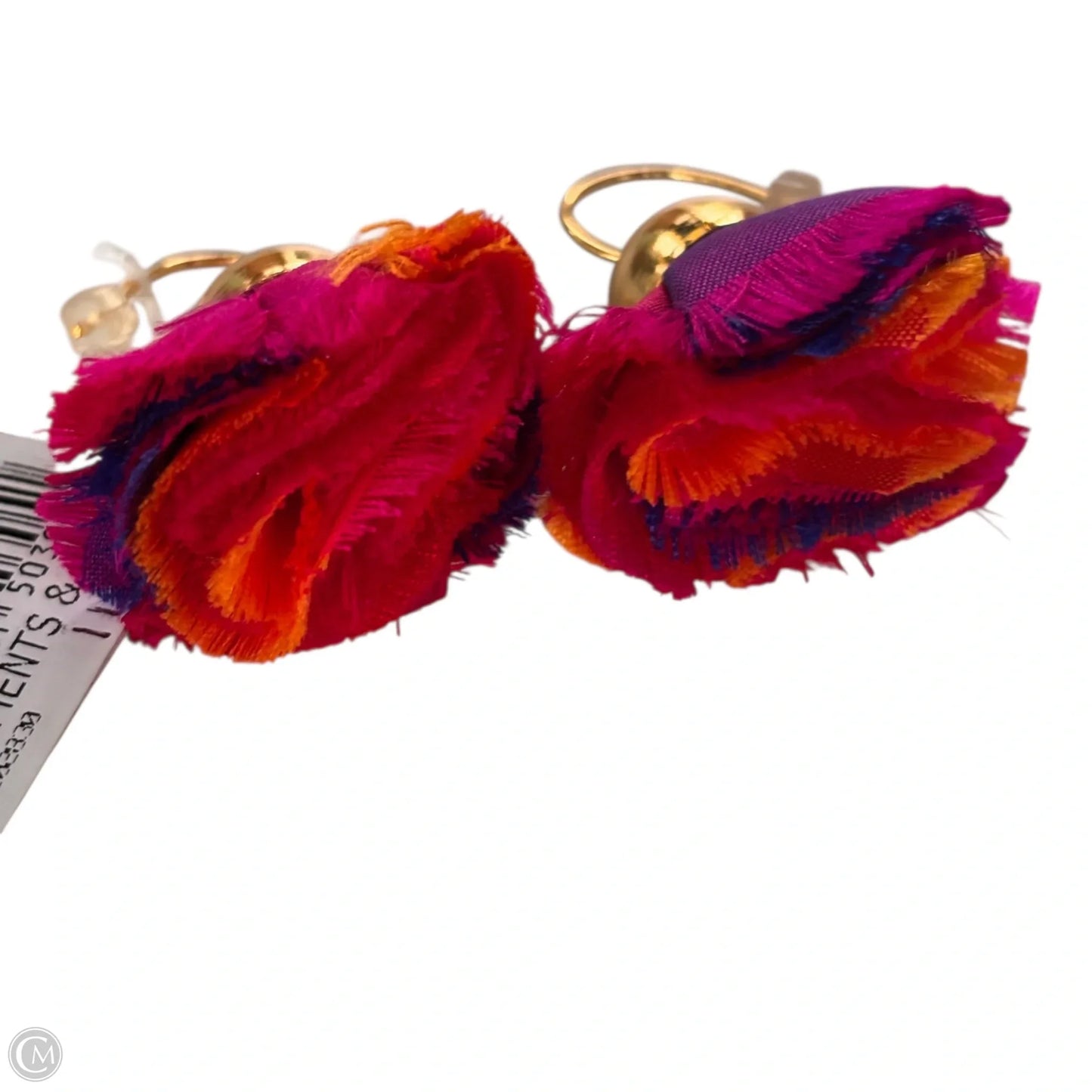 Earrings Statement