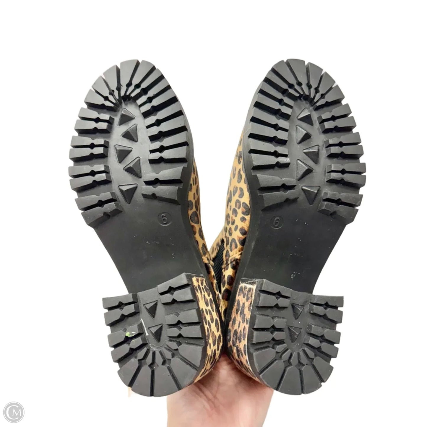 Boots Ankle Heels By Seven 7 In Leopard Print, Size: 6