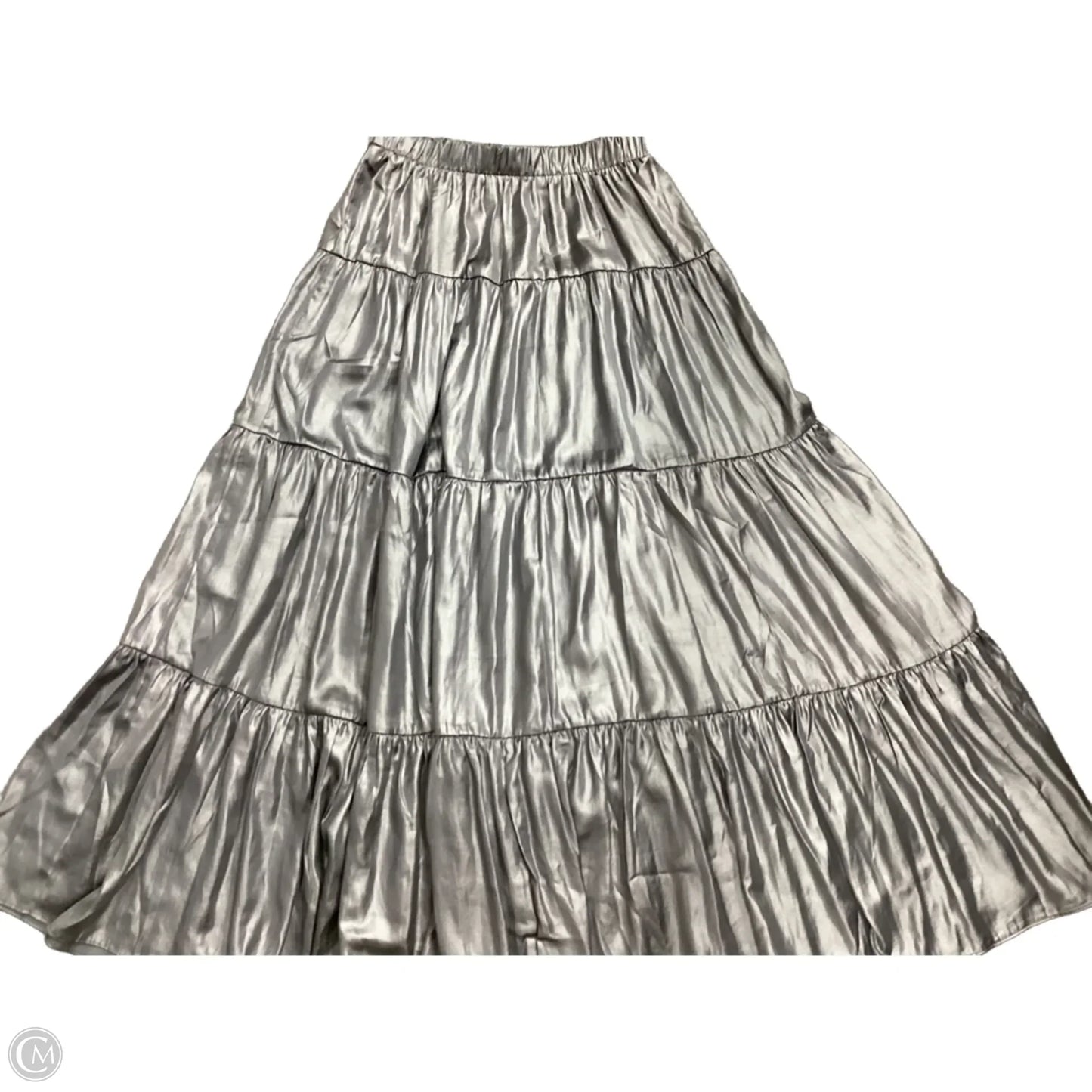Skirt Maxi By Philosophy In Grey, Size: S