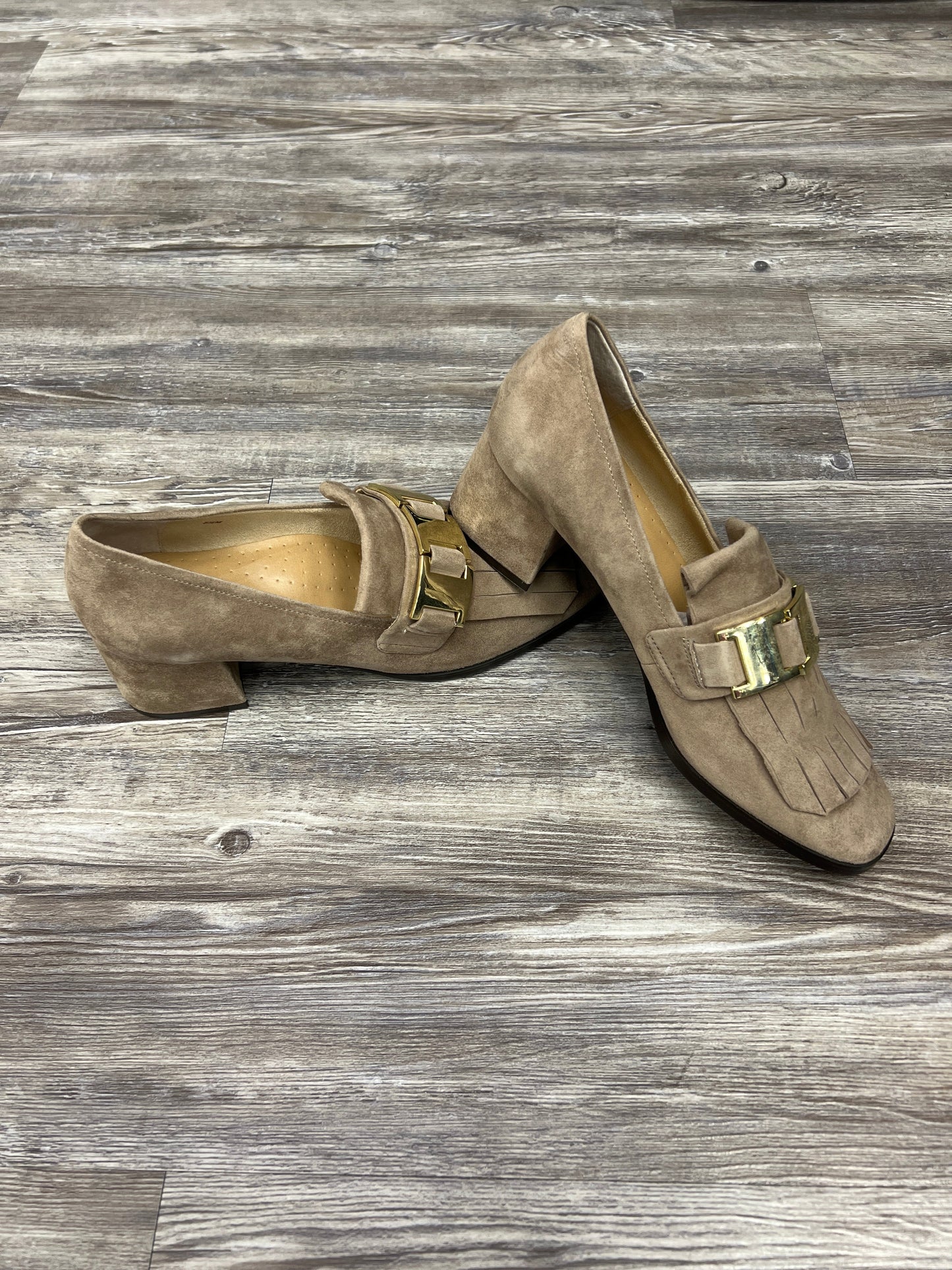 Shoes Heels Block By Vaneli Size: 8.5