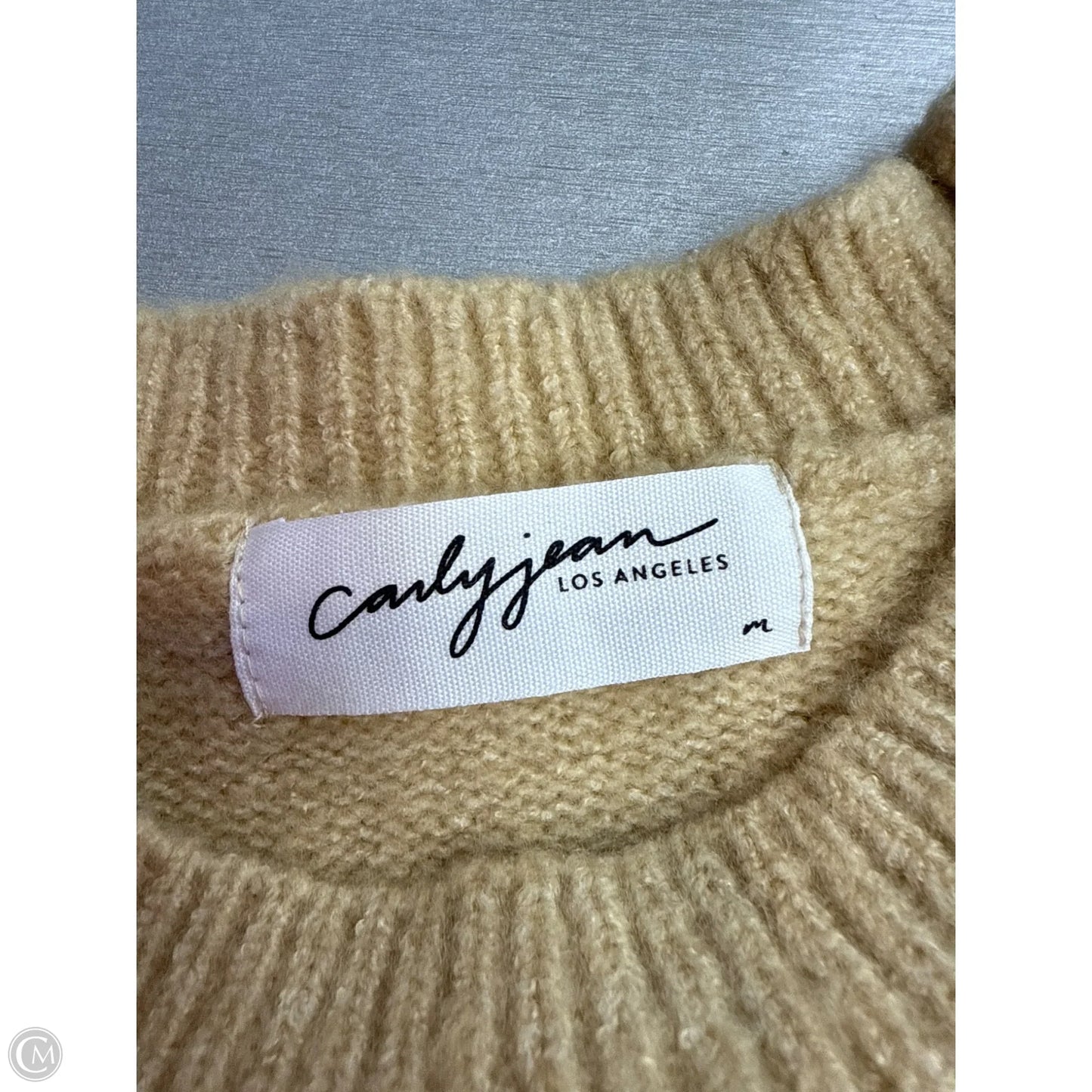 Sweater Short Sleeve By Carly Jean In Tan, Size: M