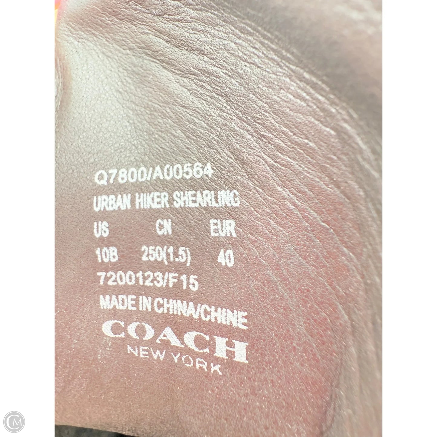 Boots Designer By Coach In Black, Size: 10