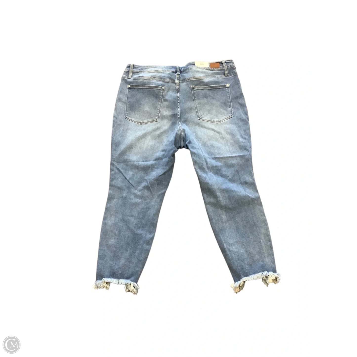 Jeans Skinny By Judy Blue In Blue Denim, Size: 22