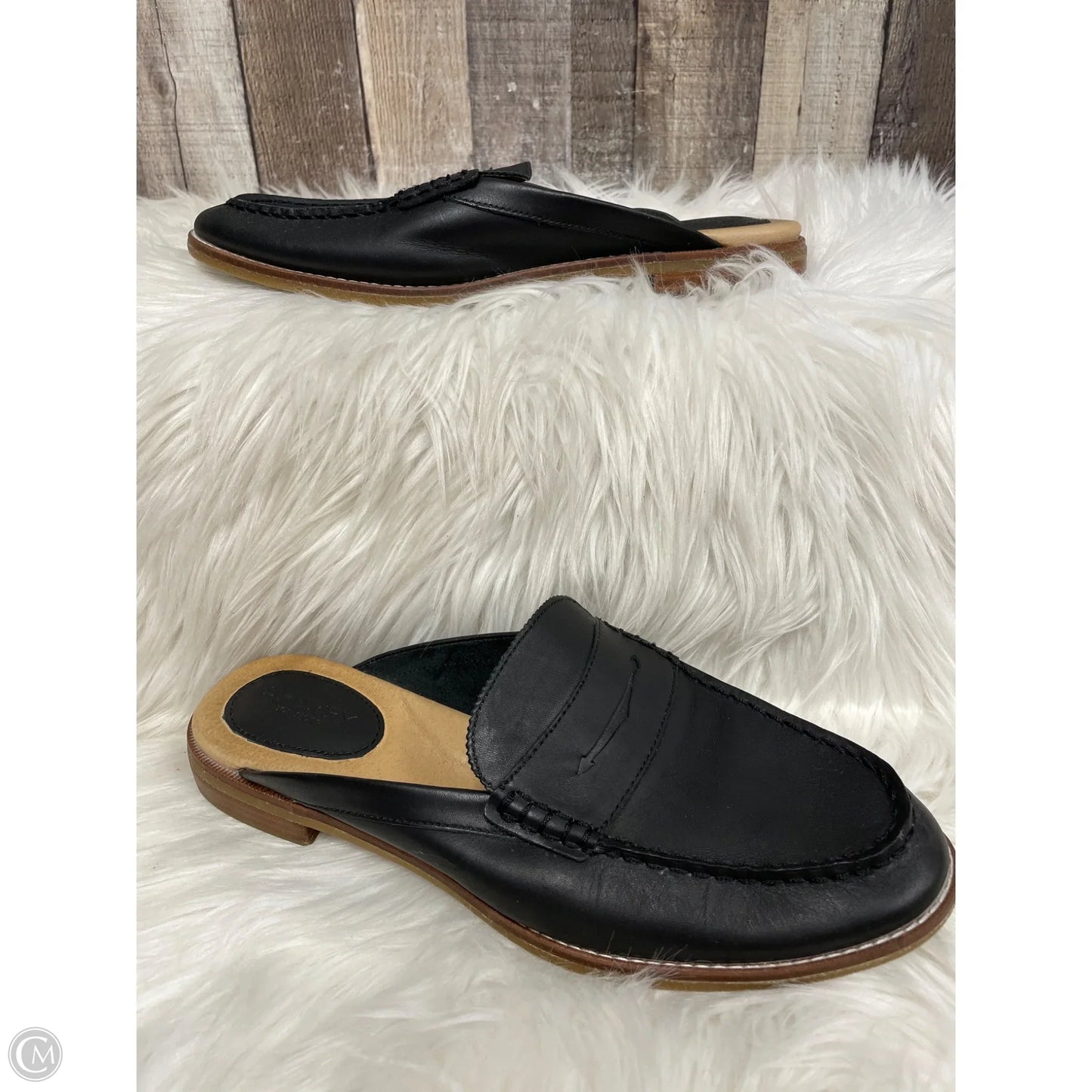 Shoes Flats By Sperry In Black, Size: 11