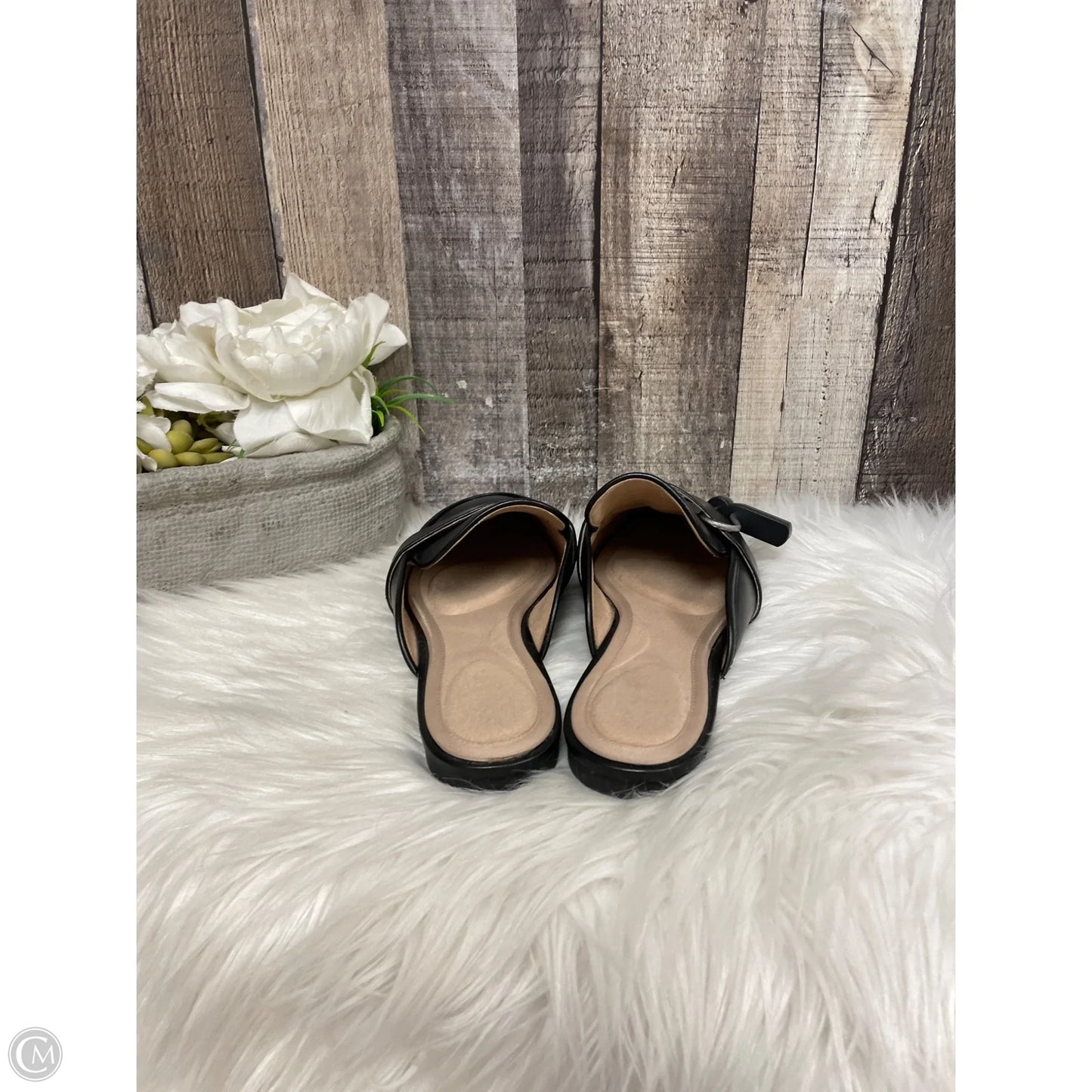 Shoes Flats By Rockport In Black, Size: 7.5