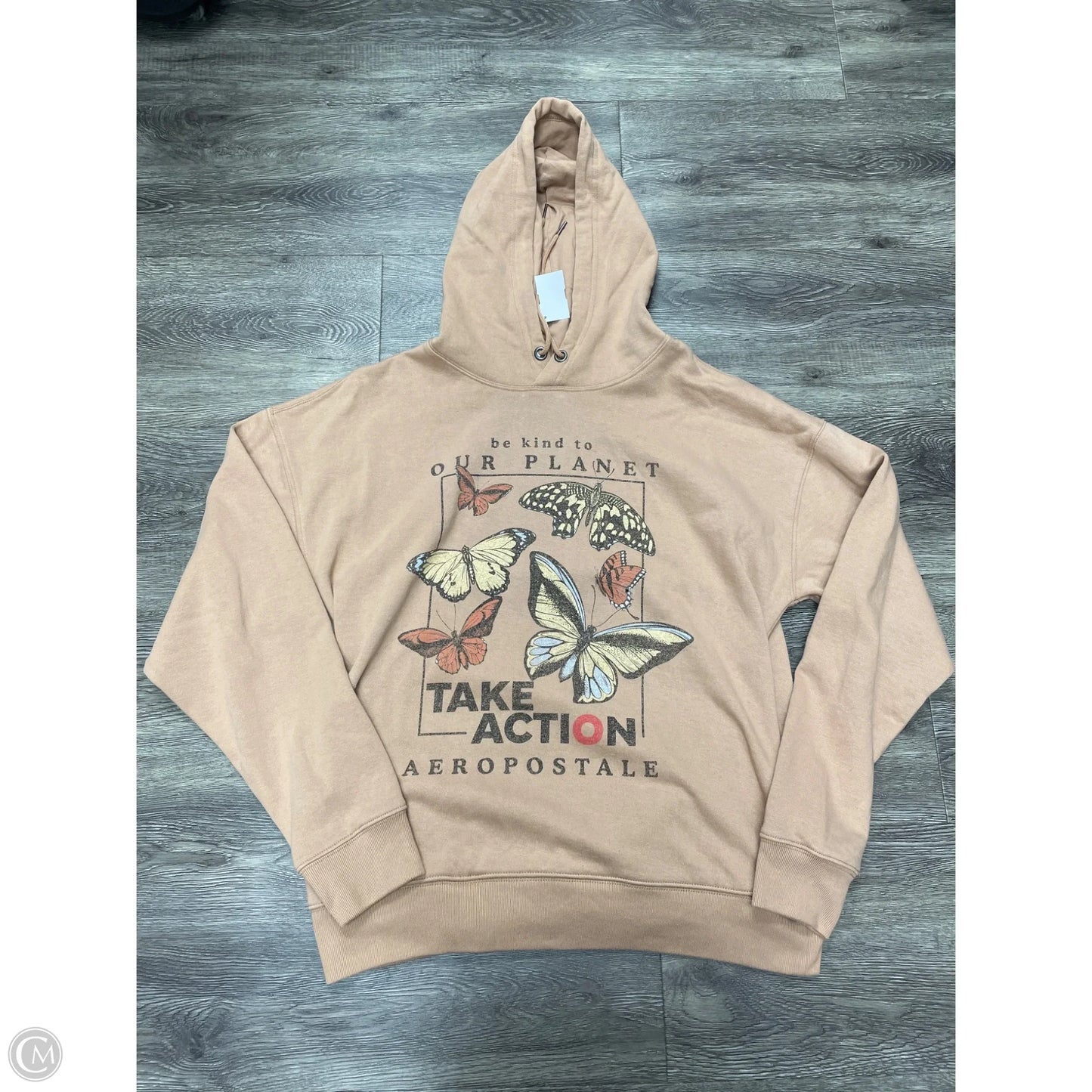 Sweatshirt Hoodie By Aeropostale In Brown, Size: M