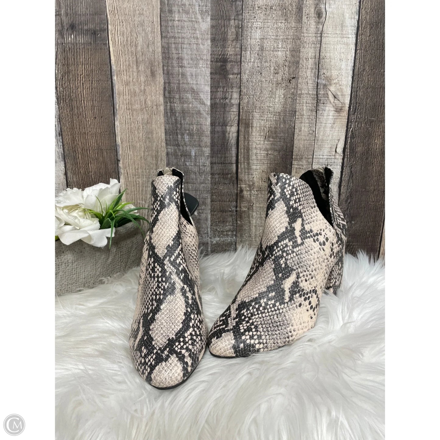 Shoes Heels Block By Massini In Animal Print, Size: 7