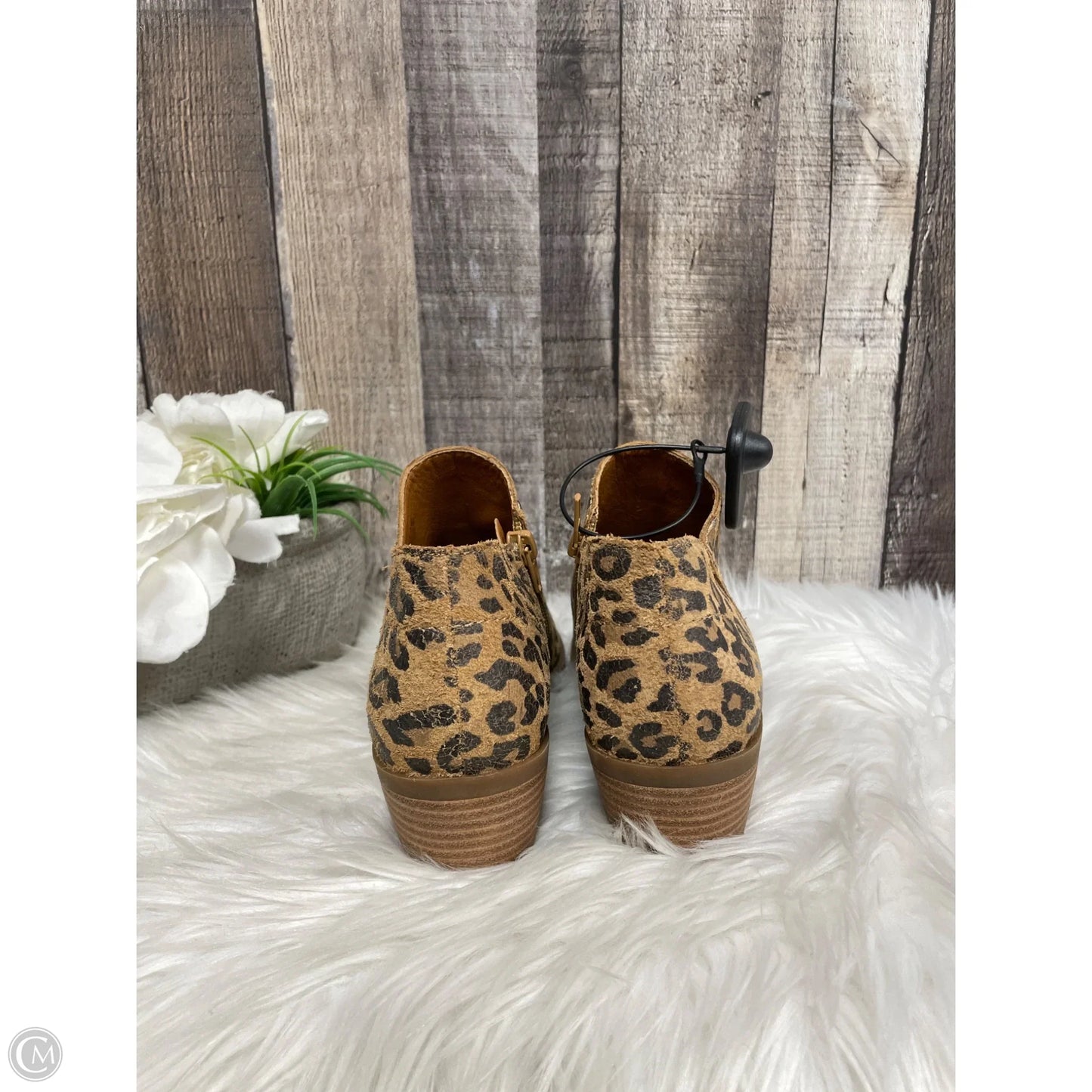 Boots Ankle Heels By Lucky Brand In Leopard Print, Size: 7
