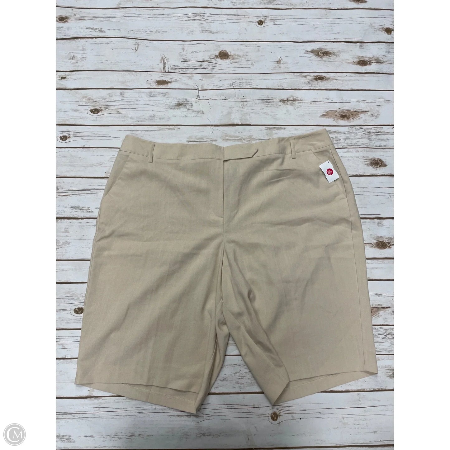 Shorts By Studio 1940 In Ivory, Size: 4x