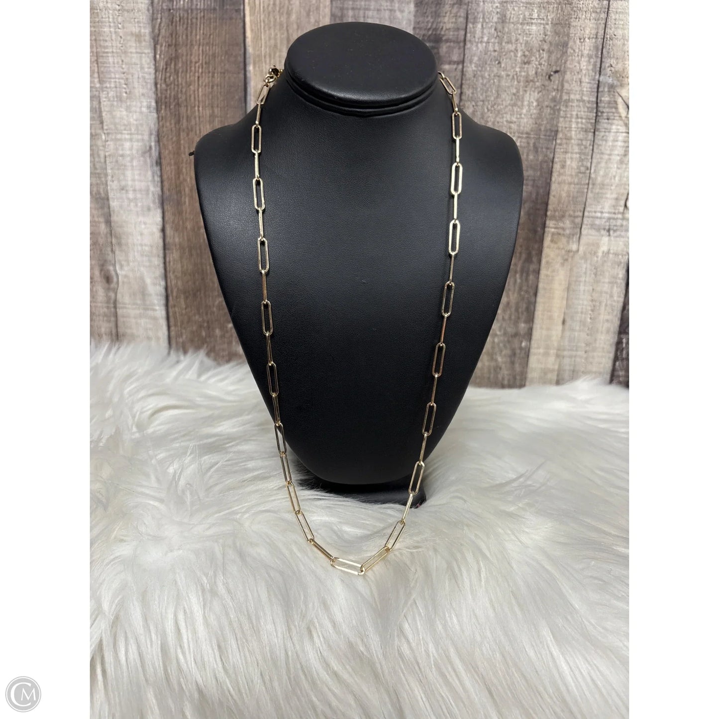 Necklace Chain By J. Crew