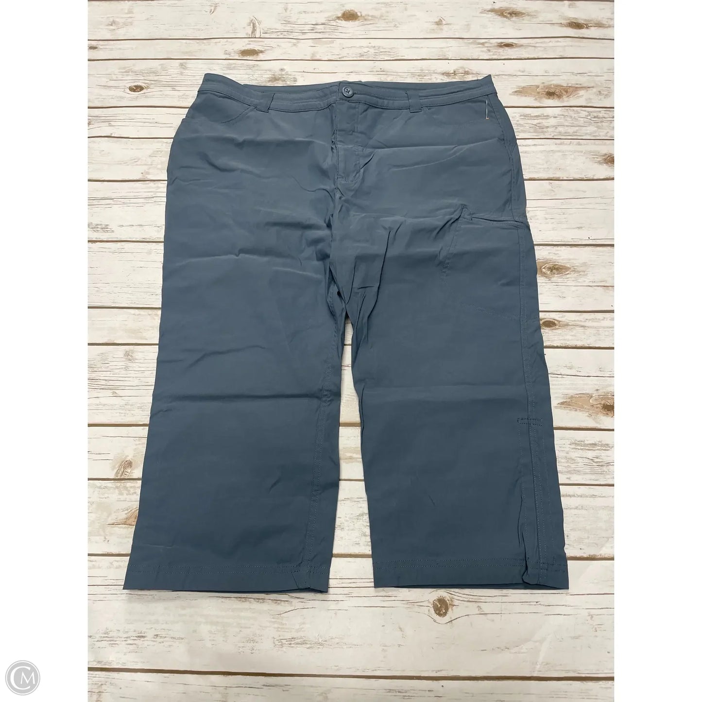 Athletic Pants By Eddie Bauer In Blue, Size: 18