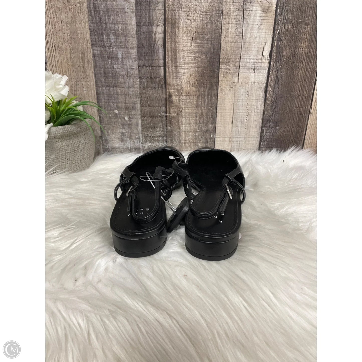 Shoes Flats By A New Day In Black, Size: 7.5