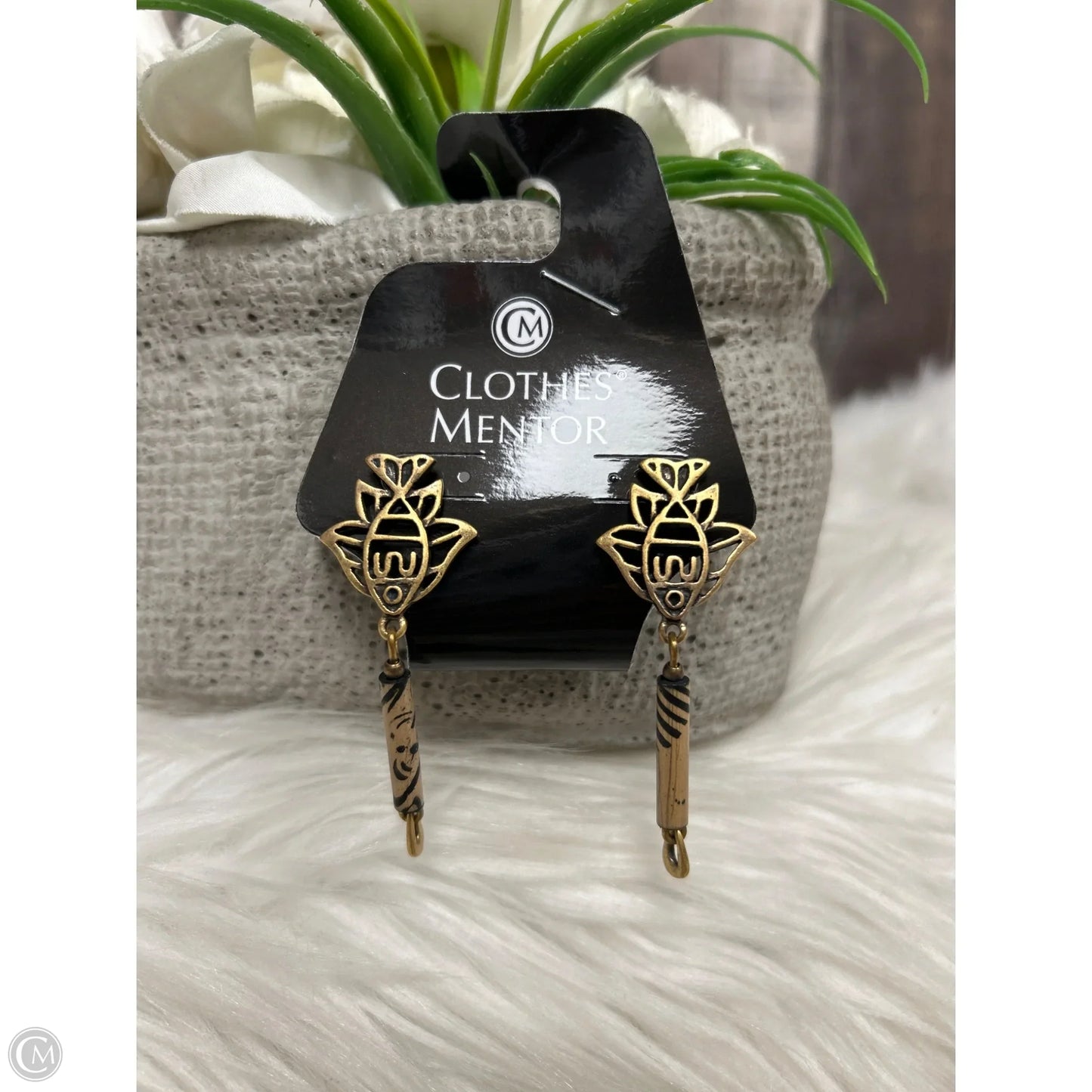 Earrings Dangle/drop By Chicos