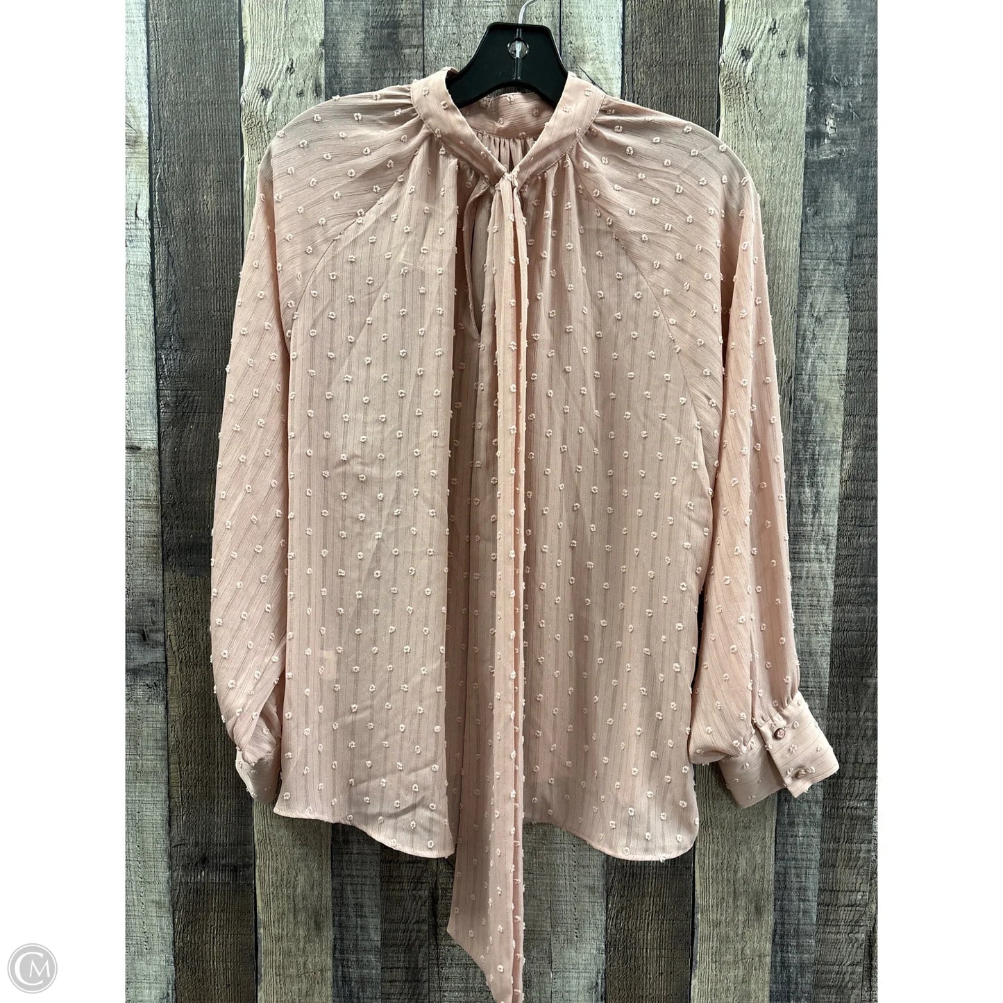 Top Long Sleeve By Zara In Mauve, Size: S