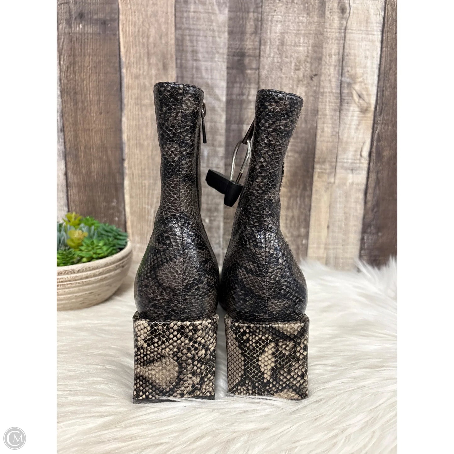 Boots Ankle Heels By French Connection In Snakeskin Print, Size: 8.5