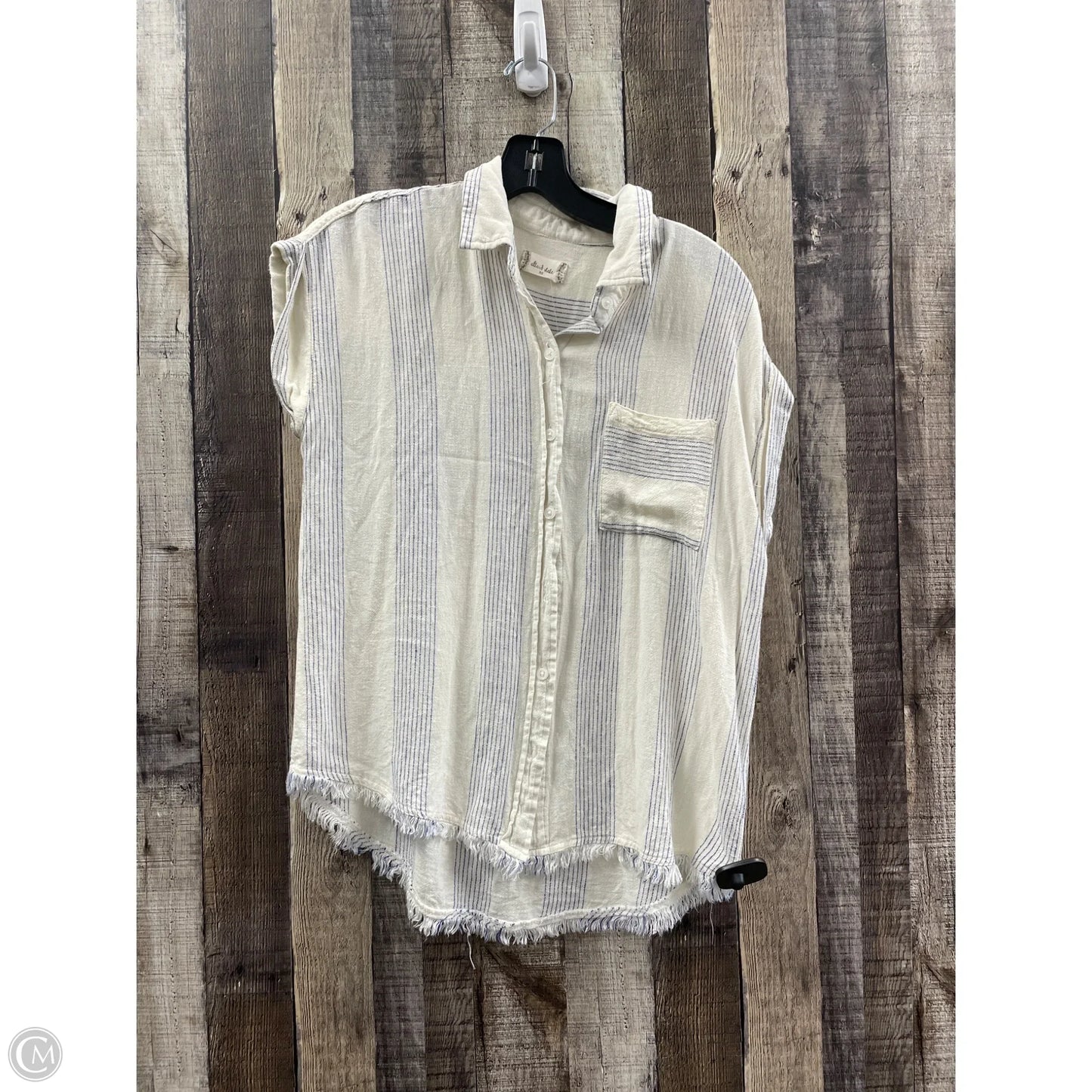 Top Sleeveless By Altard State In Blue & Cream, Size: Xs