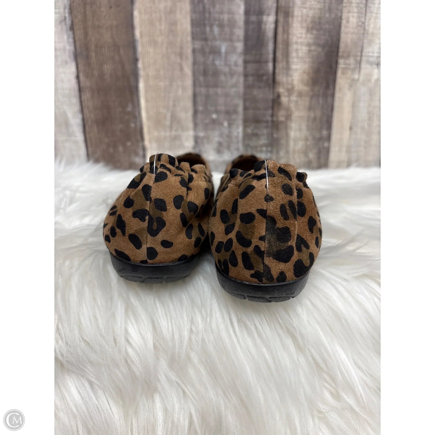 Shoes Flats By Abeo In Animal Print, Size: 10