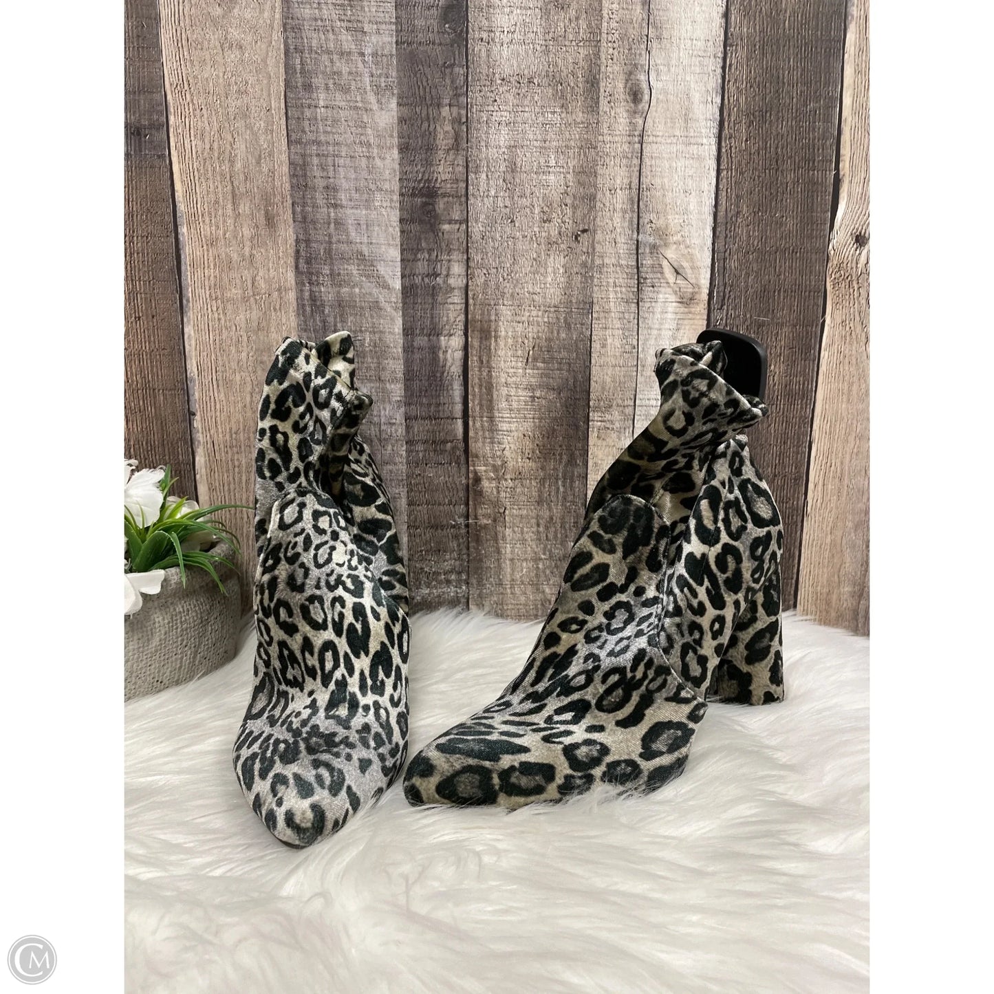 Boots Ankle Heels By Cmf In Snakeskin Print, Size: 8