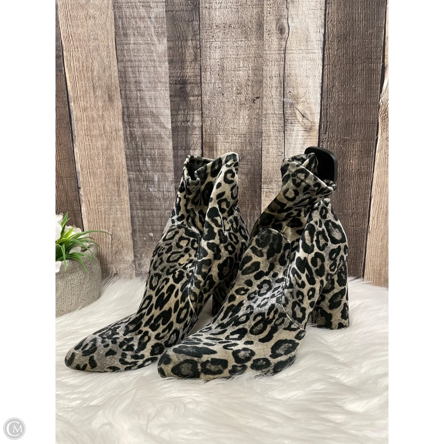 Boots Ankle Heels By Cmf In Snakeskin Print, Size: 8