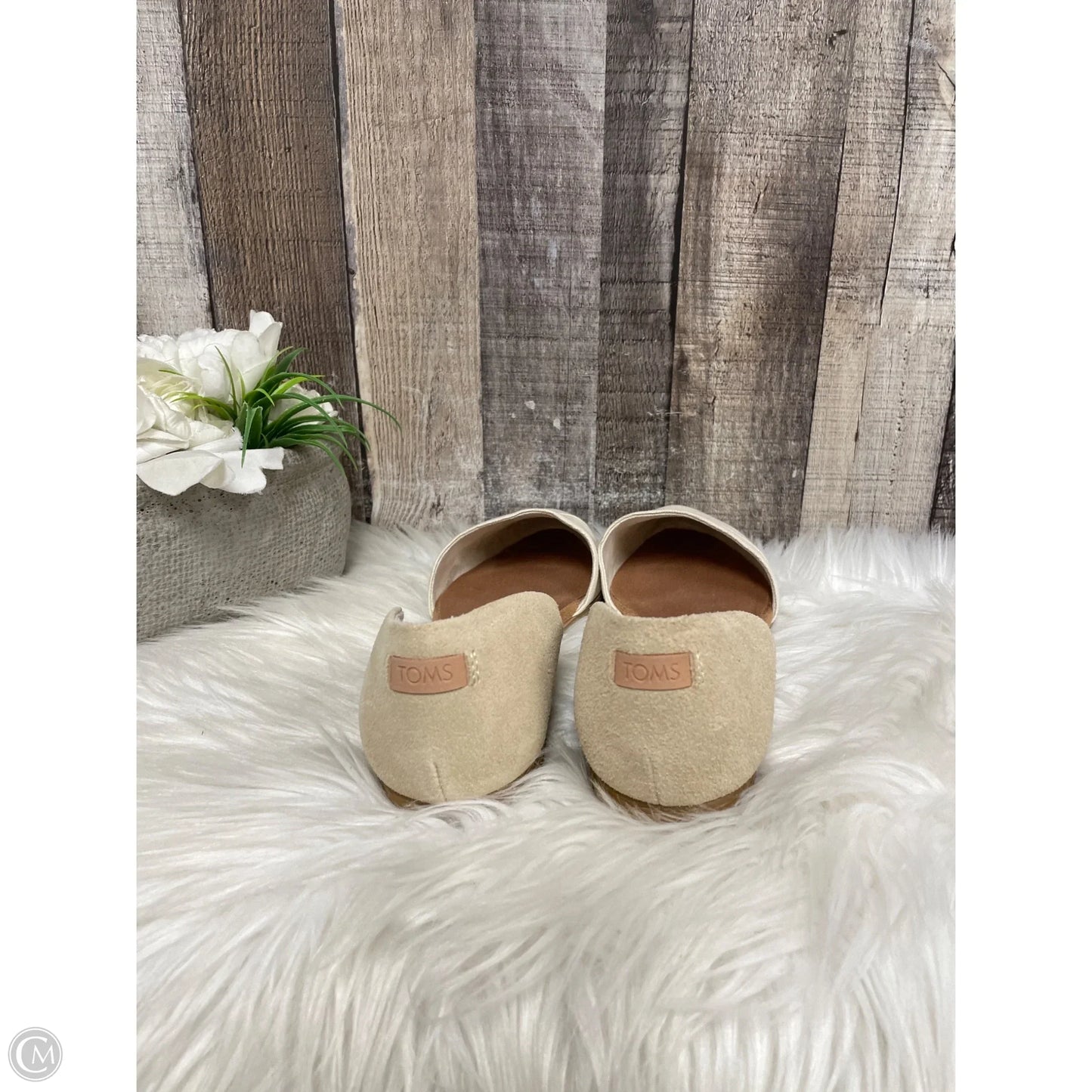 Shoes Flats By Toms In Beige, Size: 7.5