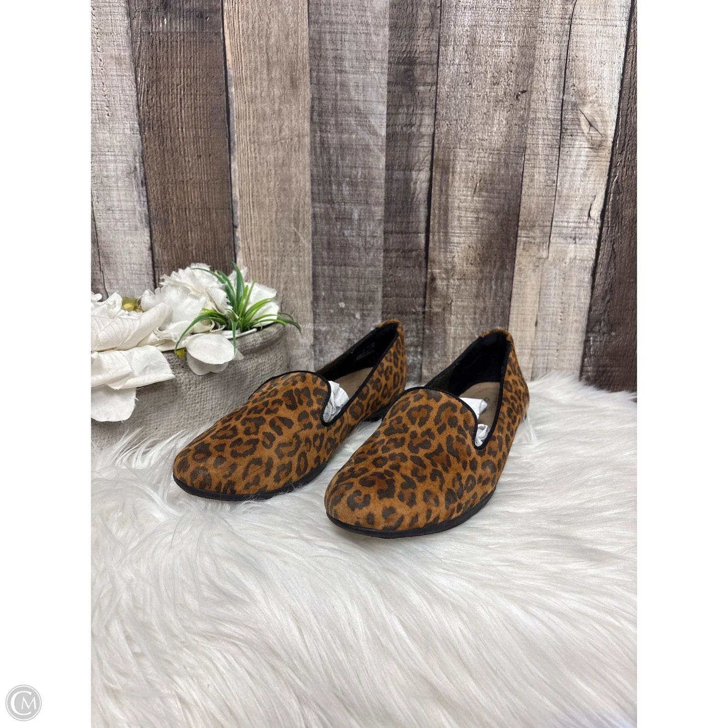 Shoes Flats By Clarks In Animal Print, Size: 8.5