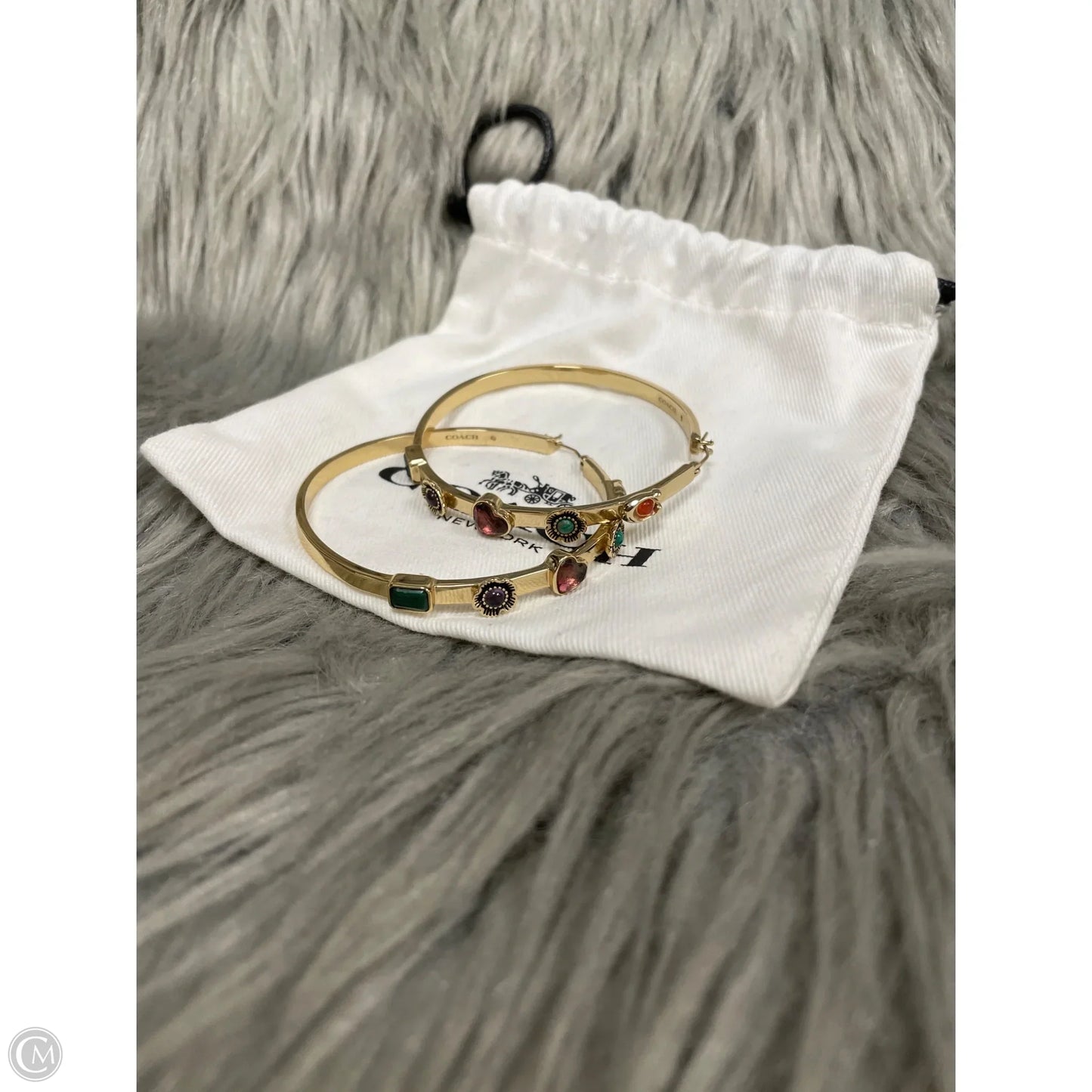 Earrings Designer By Coach