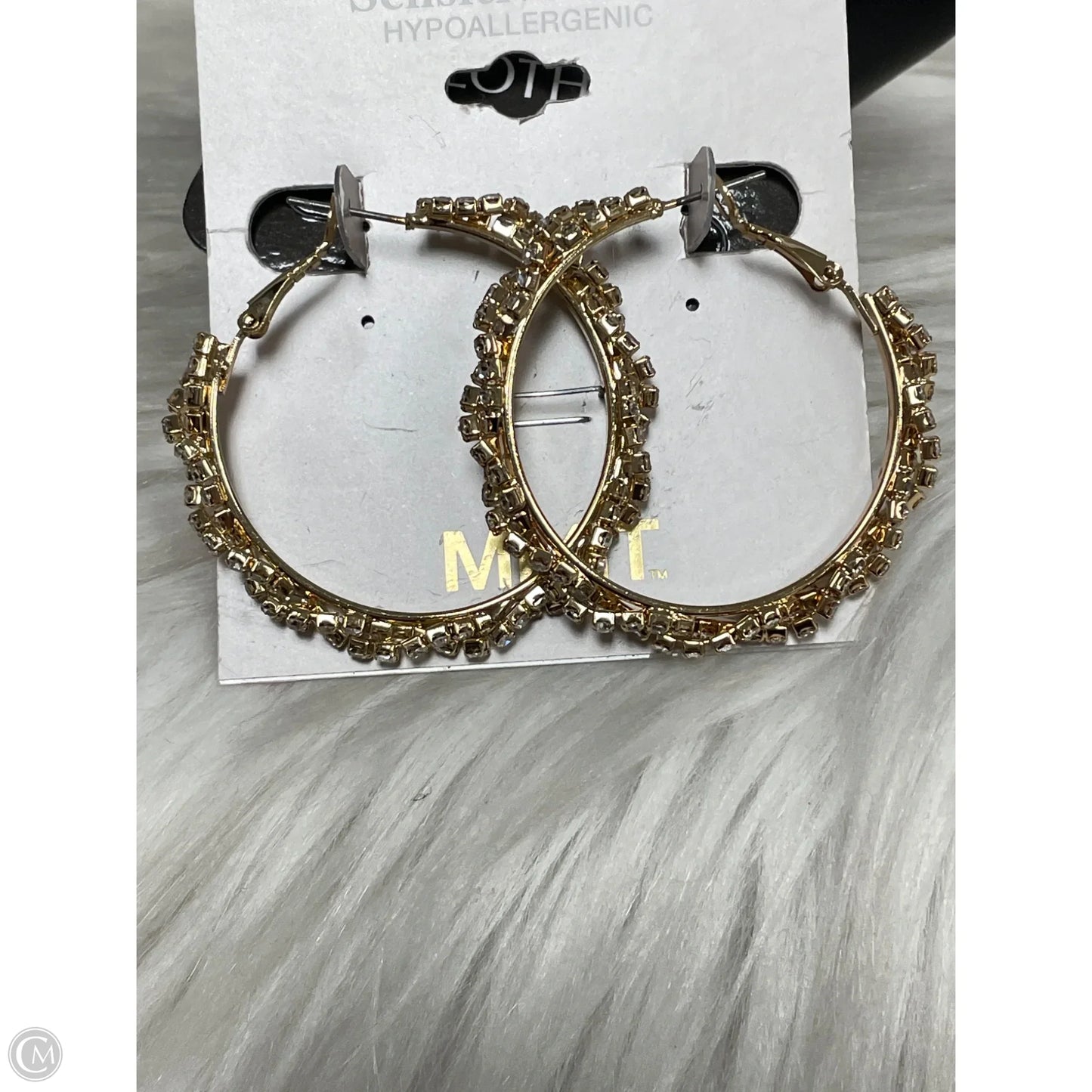 Earrings Hoop By Cme