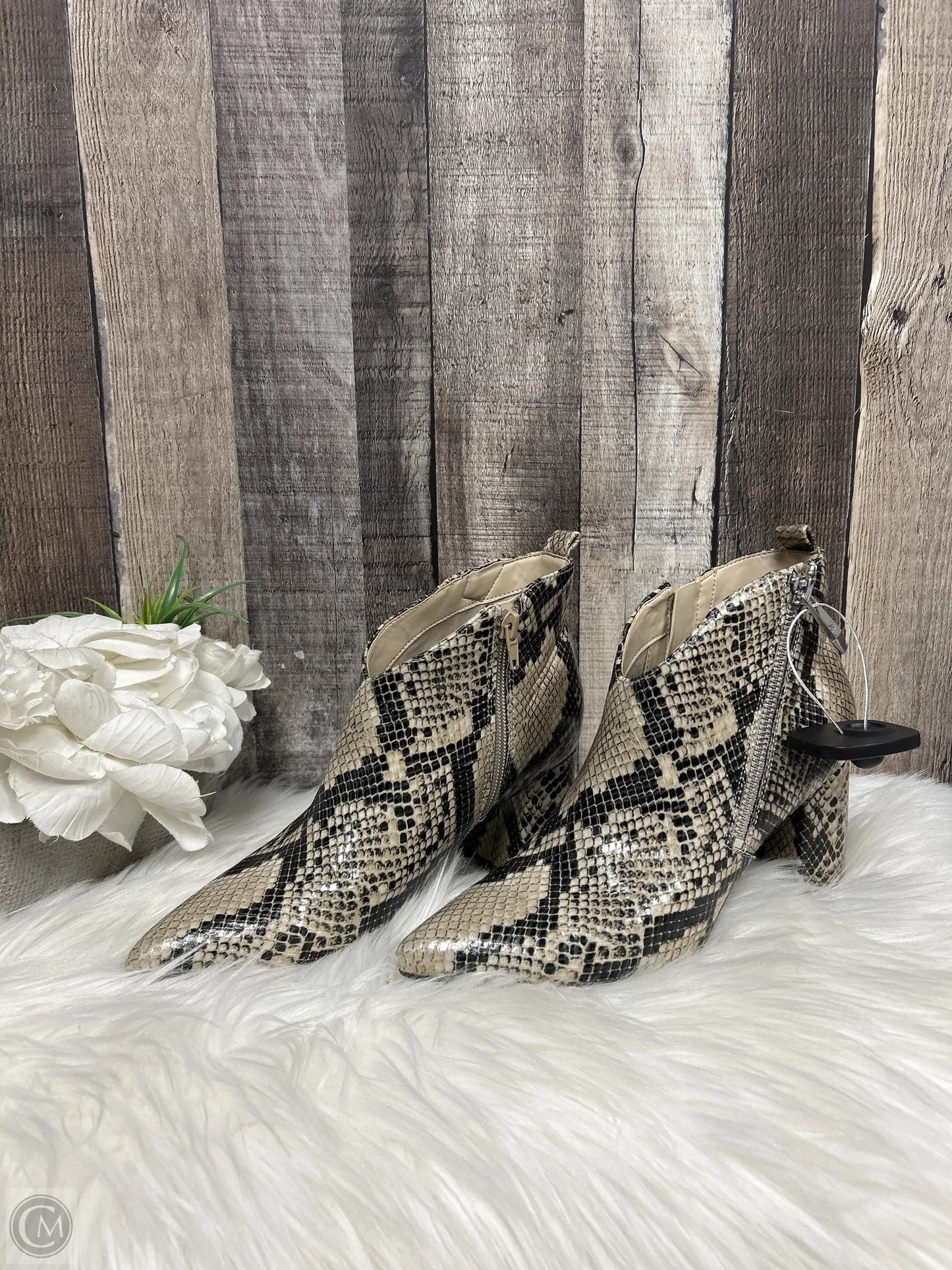Boots Ankle Heels By Marc Fisher In Snakeskin Print, Size: 6