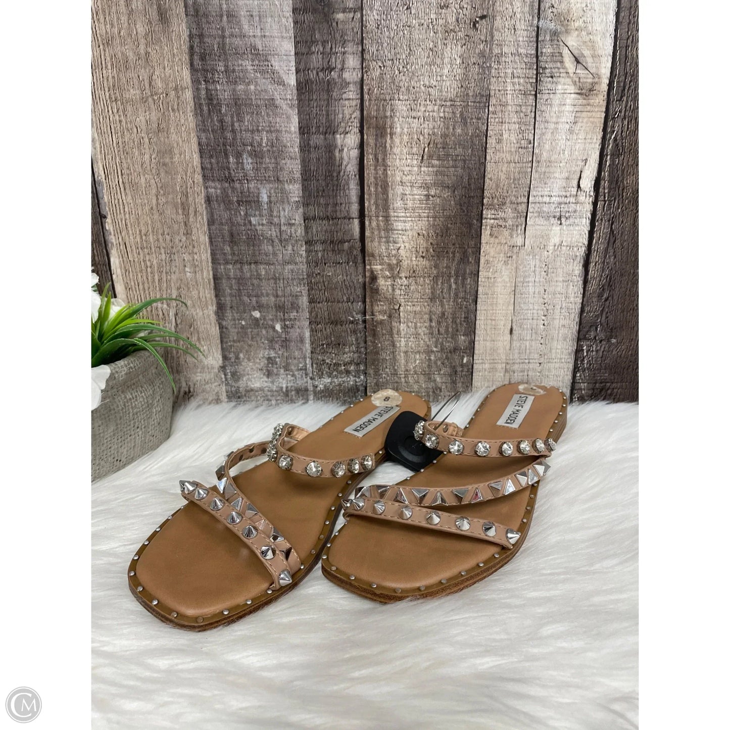 Sandals Flats By Steve Madden In Tan, Size: 8