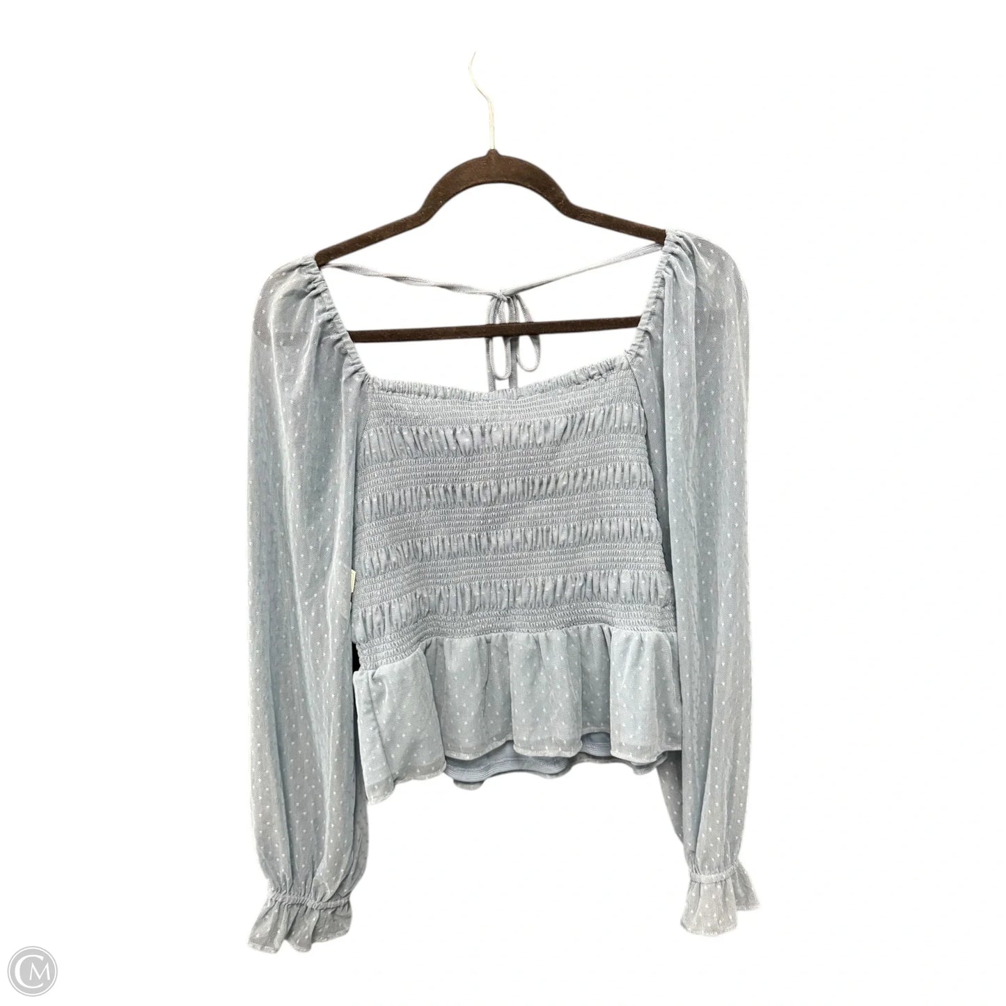 Blouse Long Sleeve By Clothes Mentor In Blue, Size: L