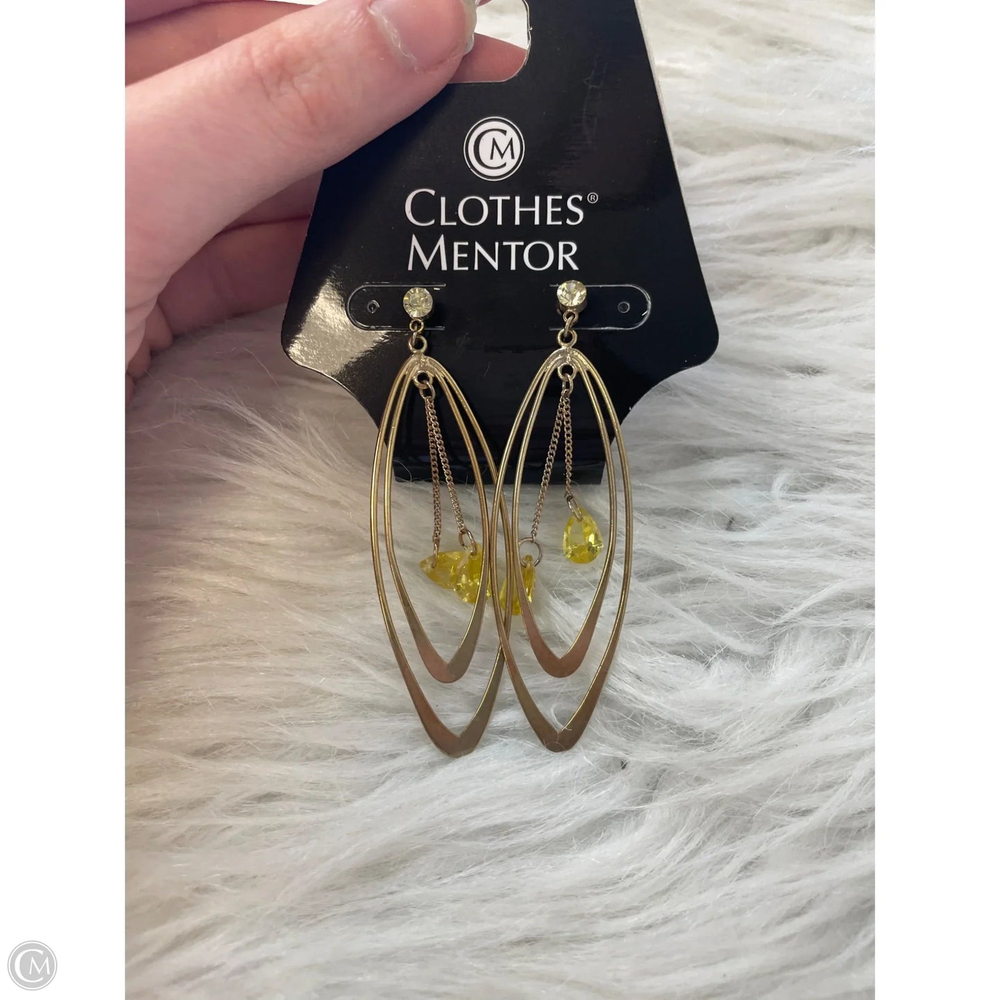 Earrings Dangle/drop By Clothes Mentor