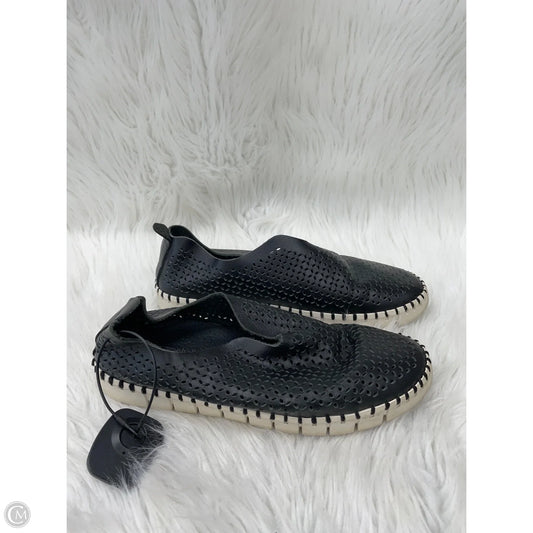 Shoes Sneakers By Jeffery Campbell In Black & Cream, Size: 7.5