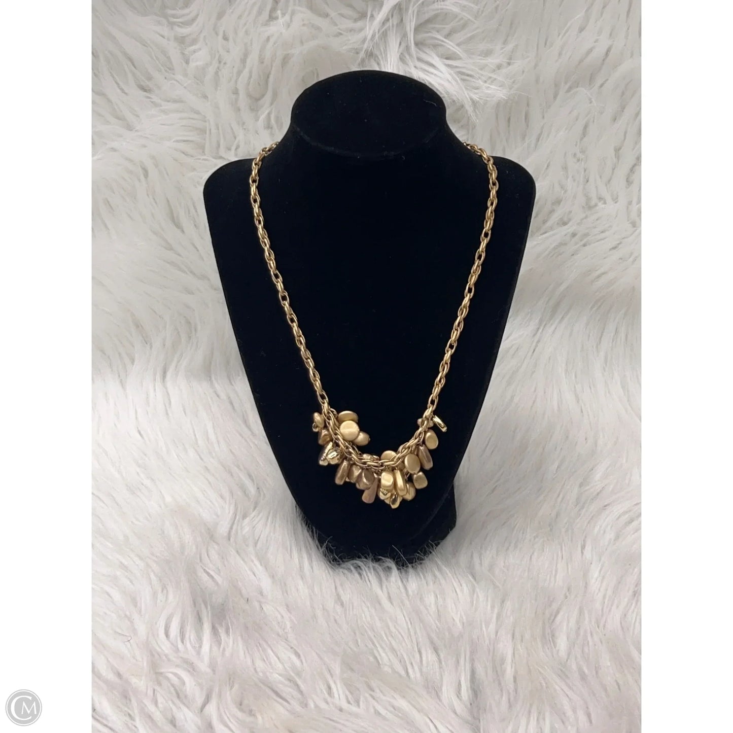 Necklace Charm By Chicos