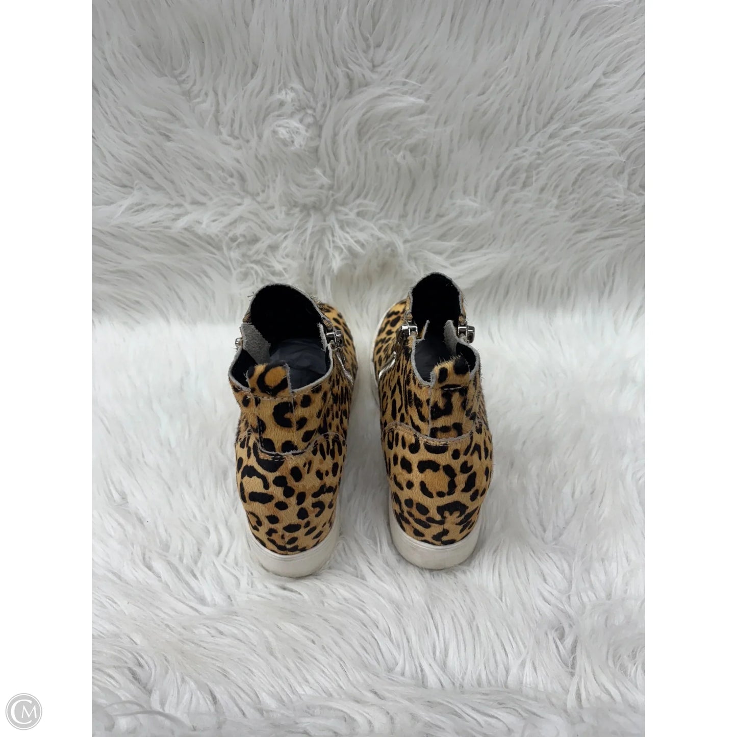 Shoes Heels Wedge By Steve Madden In Animal Print, Size: 8.5