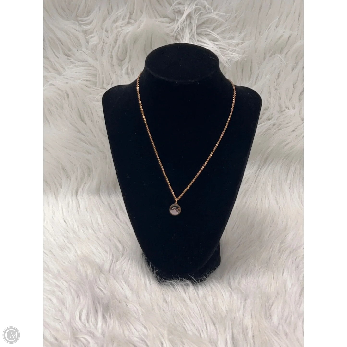 Necklace Pendant By Clothes Mentor
