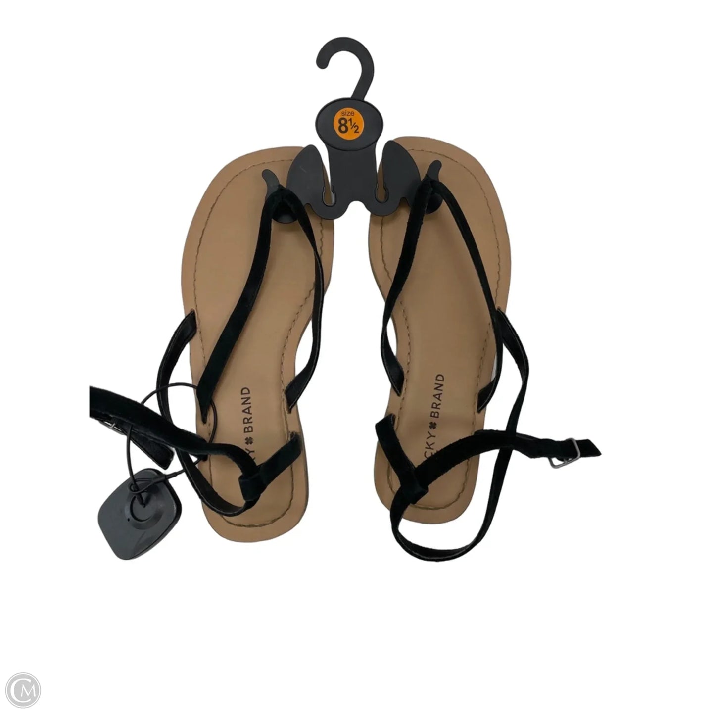 Sandals Flats By Lucky Brand In Black, Size: 8.5