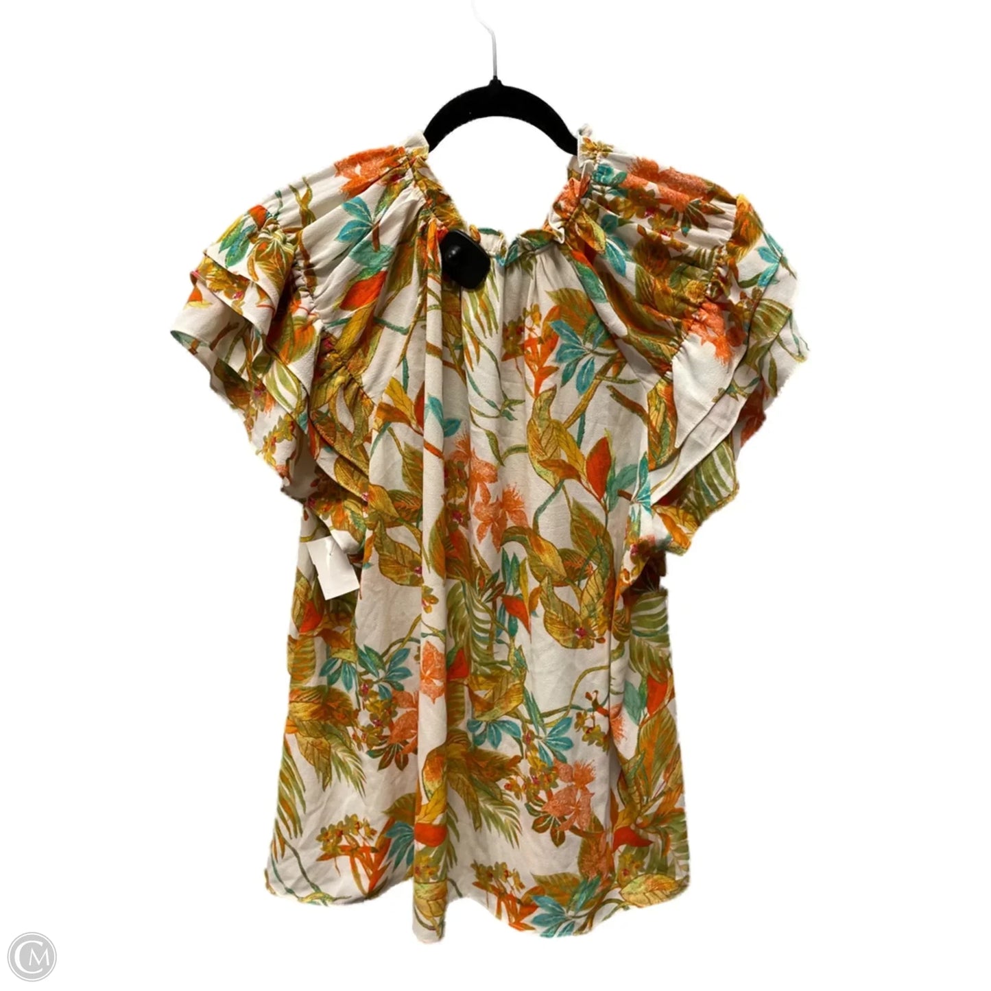 Blouse Short Sleeve By Rose And Olive In Multi-colored, Size: 2x