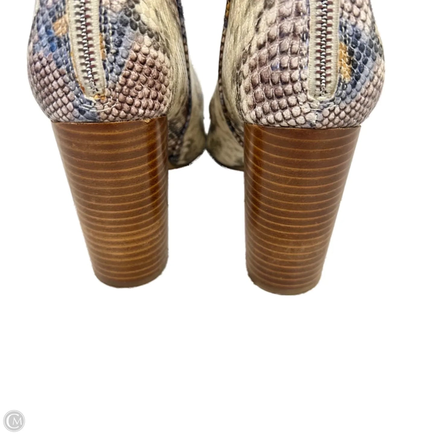 Boots Ankle Heels By Steve Madden In Snakeskin Print, Size: 10