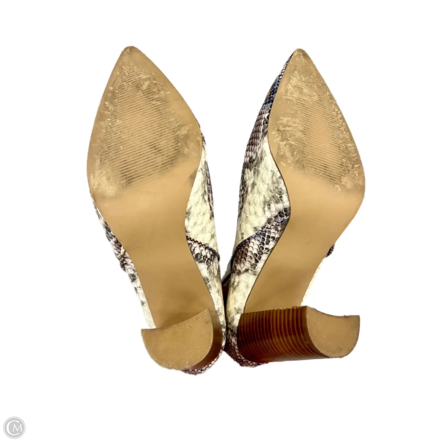 Boots Ankle Heels By Steve Madden In Snakeskin Print, Size: 10