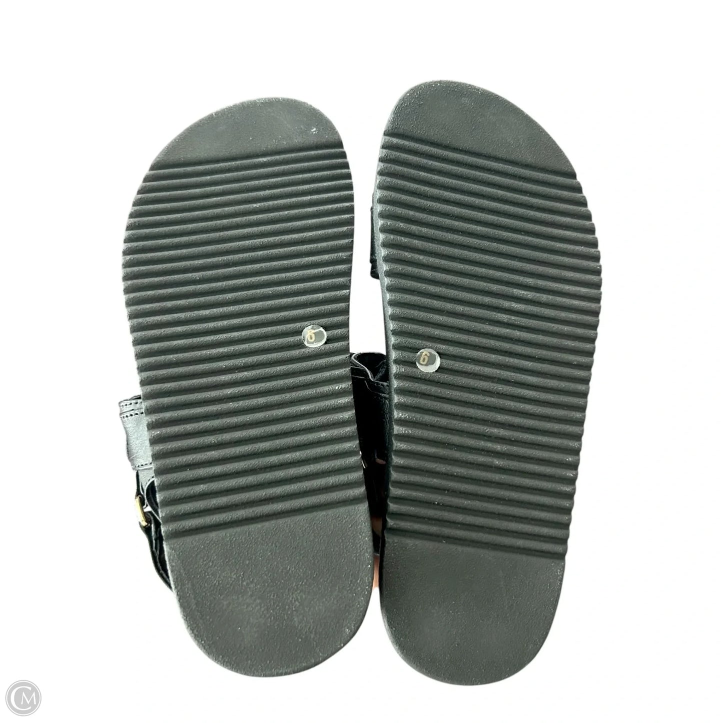 Sandals Heels Platform By Steve Madden In Black, Size: 6