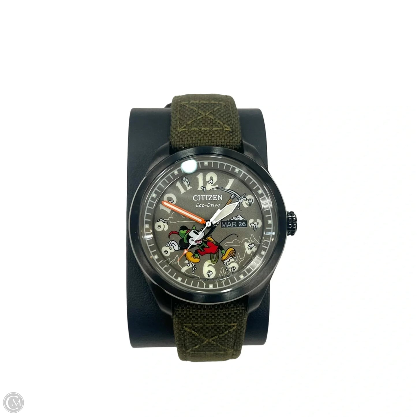 Watch By Citizen