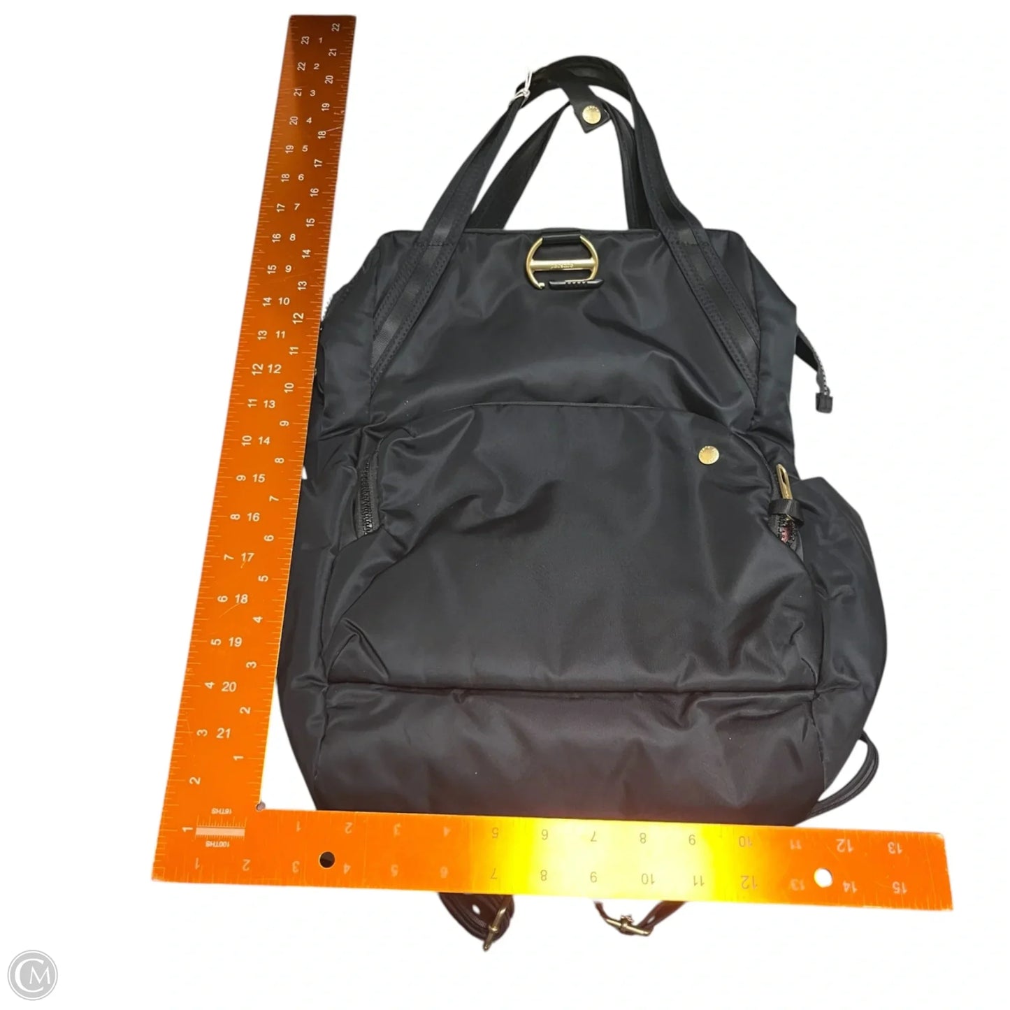 Backpack By Pac Safe, Size: Large