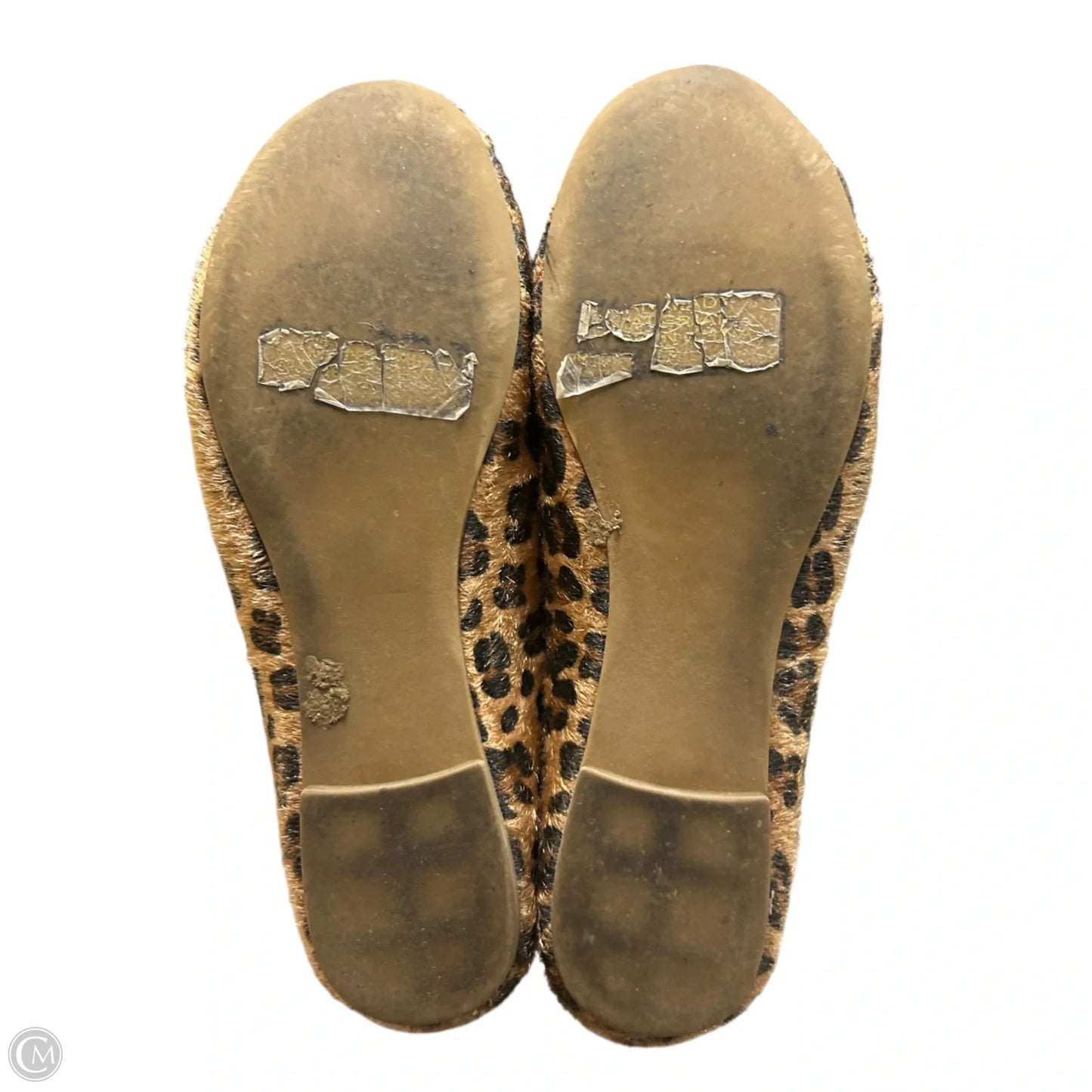 Shoes Flats By Nature Breeze In Animal Print, Size: 7