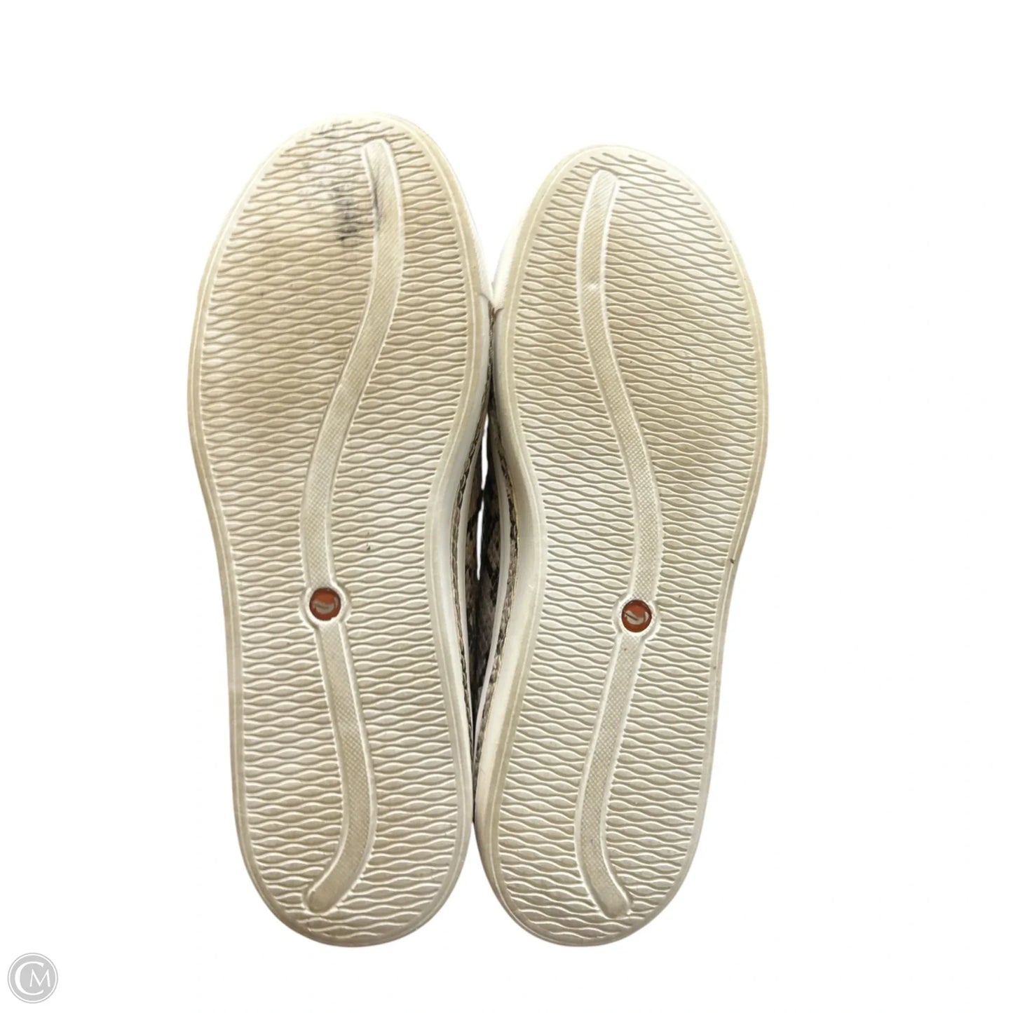 Shoes Sneakers By Clarks In Animal Print, Size: 6