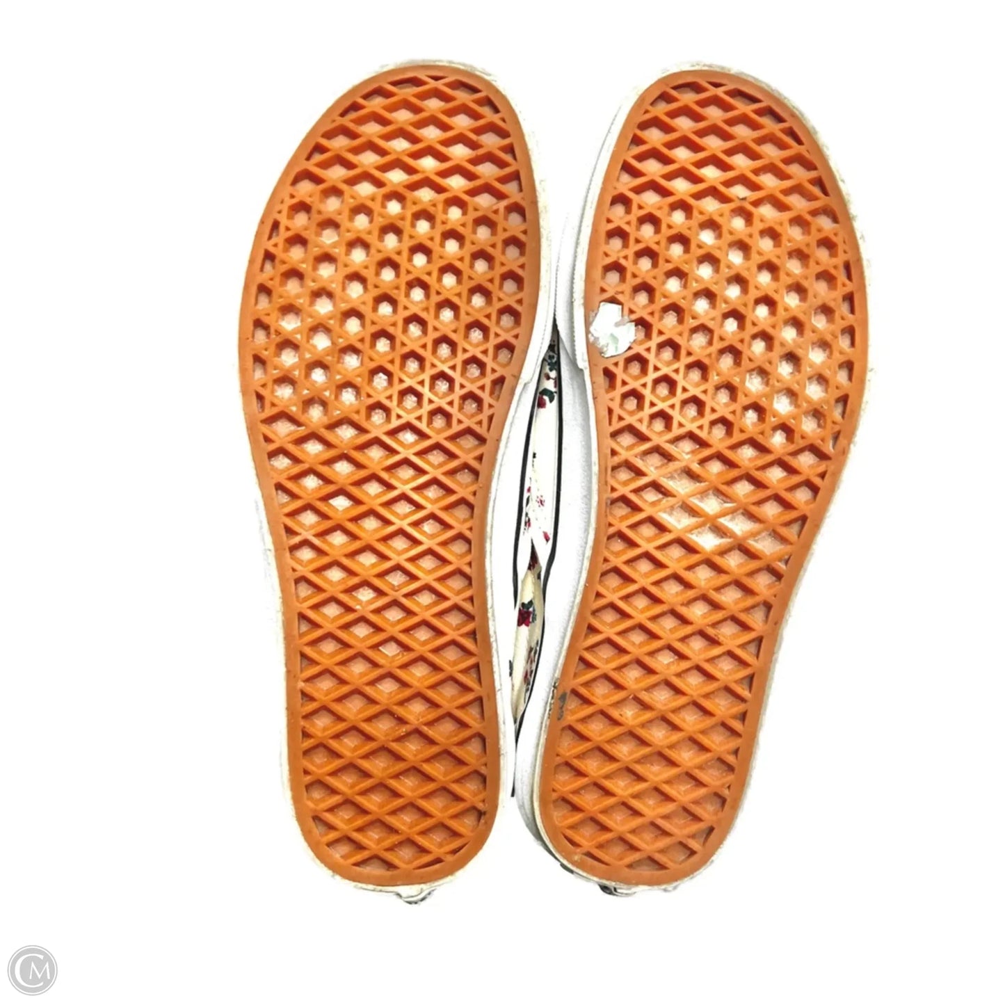 Shoes Sneakers By Vans In Floral Print, Size: 8