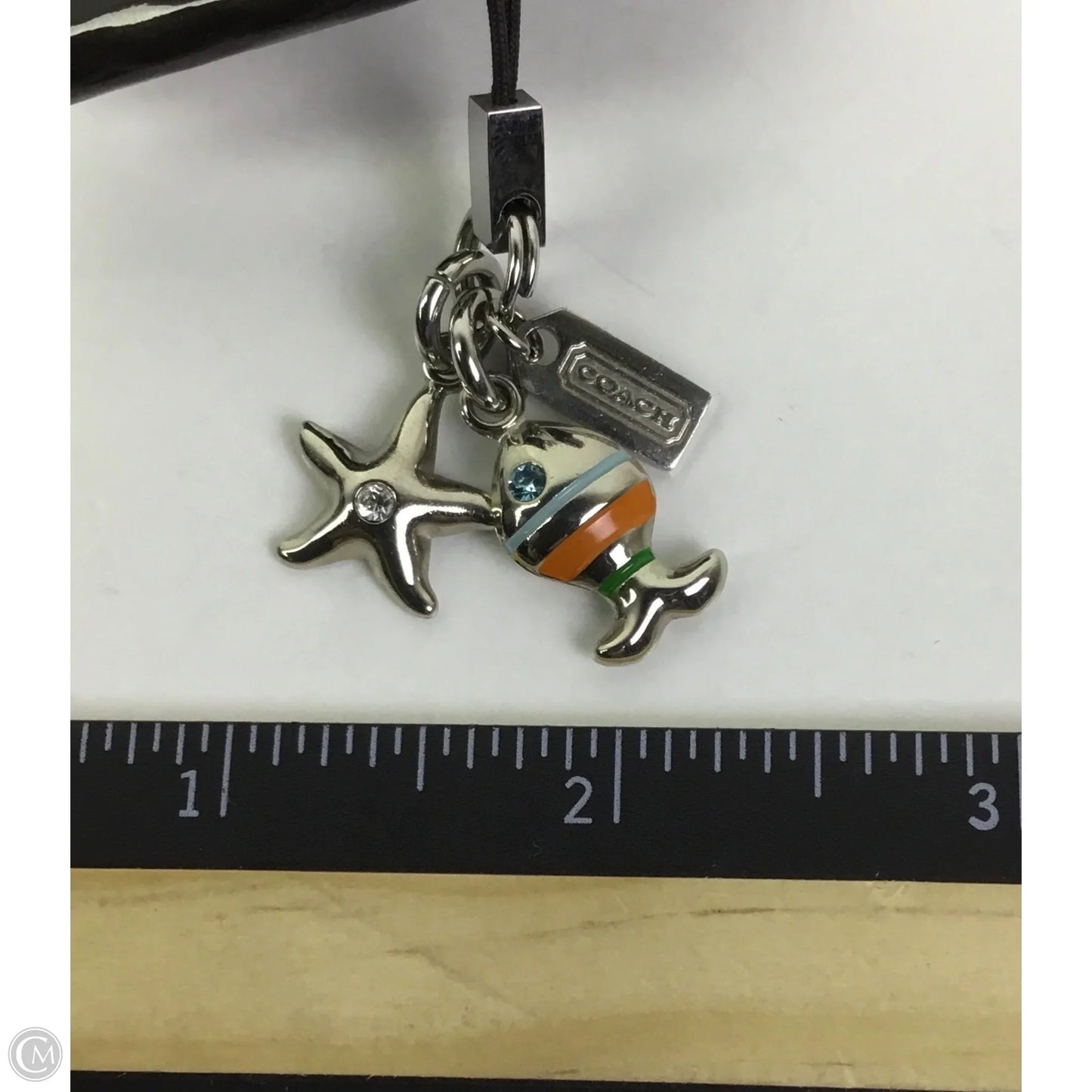Accessory Designer Tag By Coach