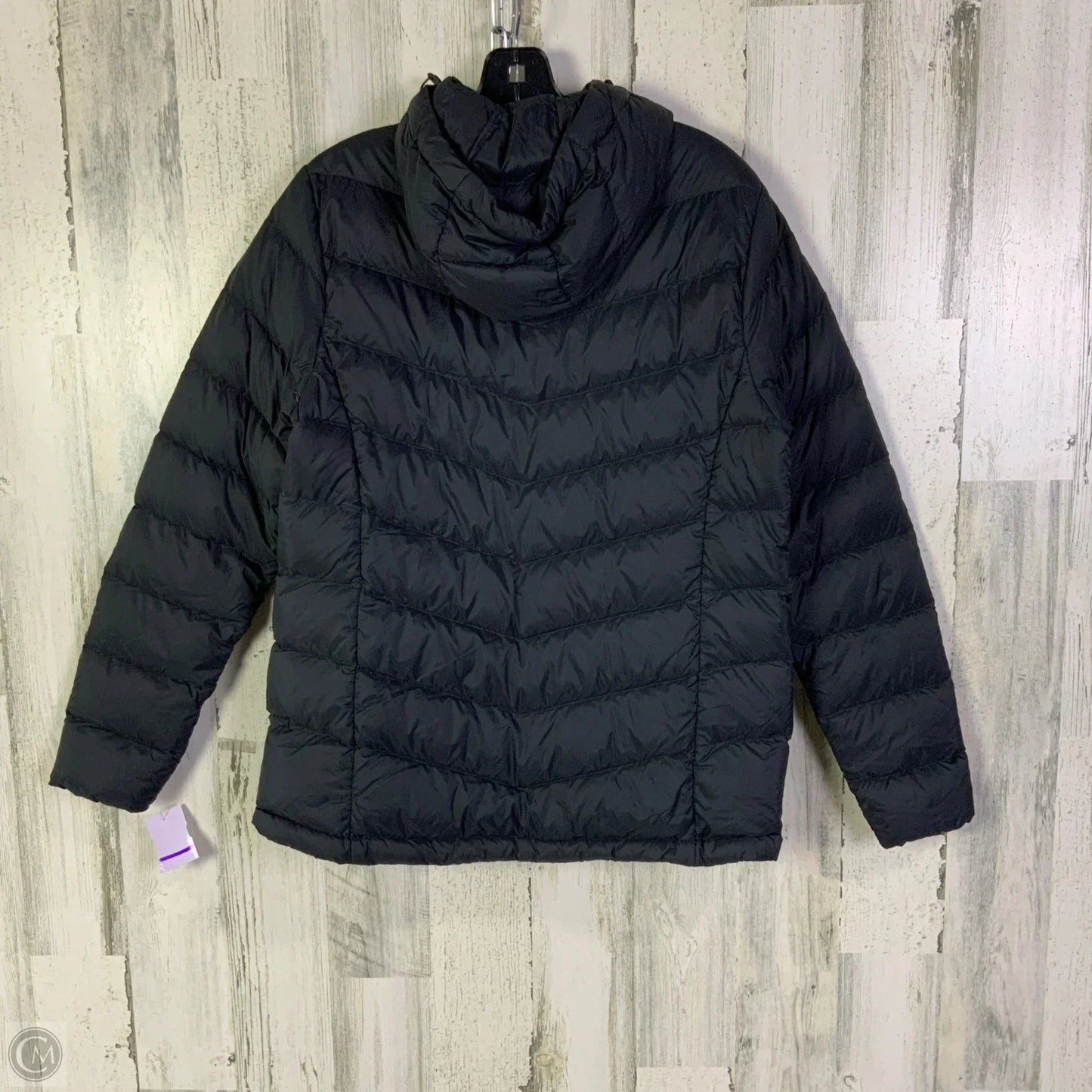 Coat Puffer & Quilted By Eddie Bauer In Navy, Size: M